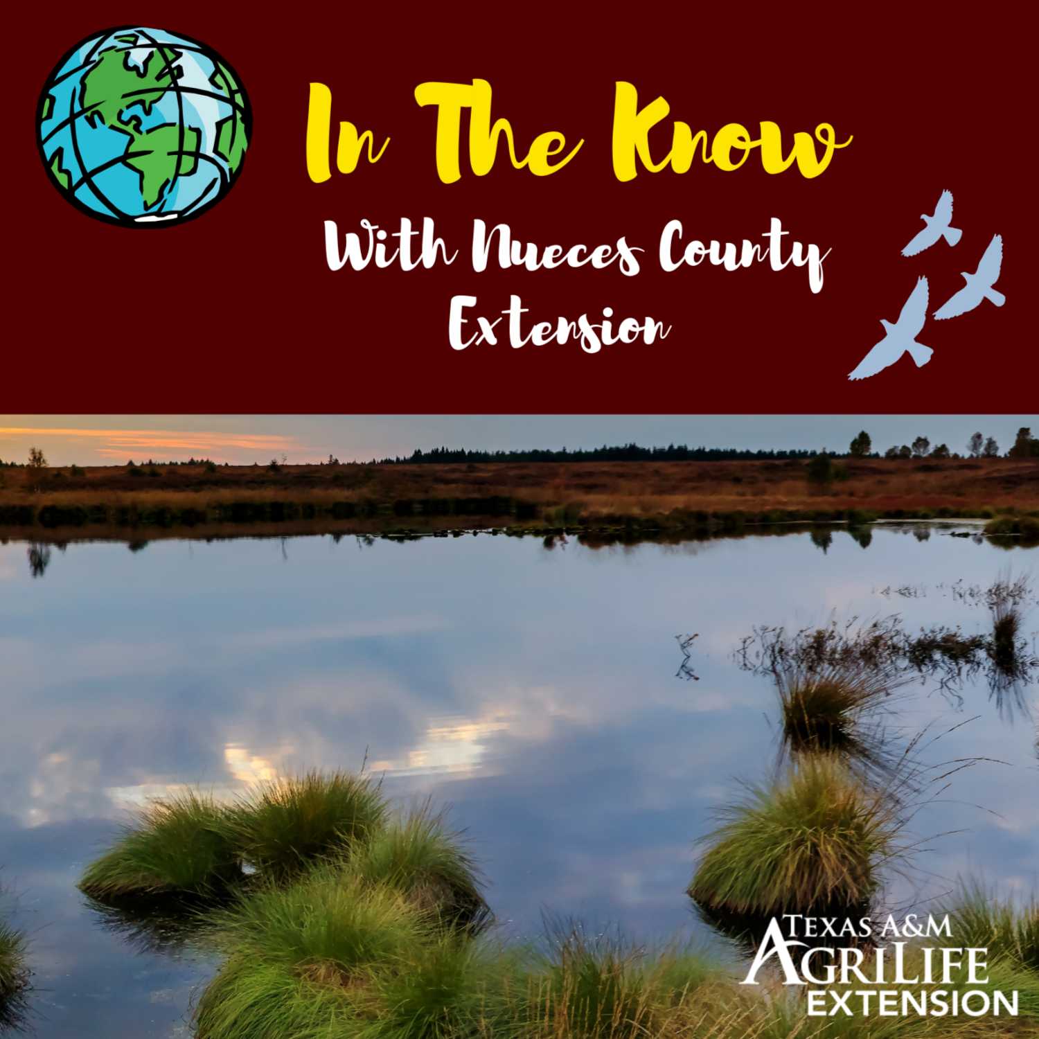 Nueces County Water Supply