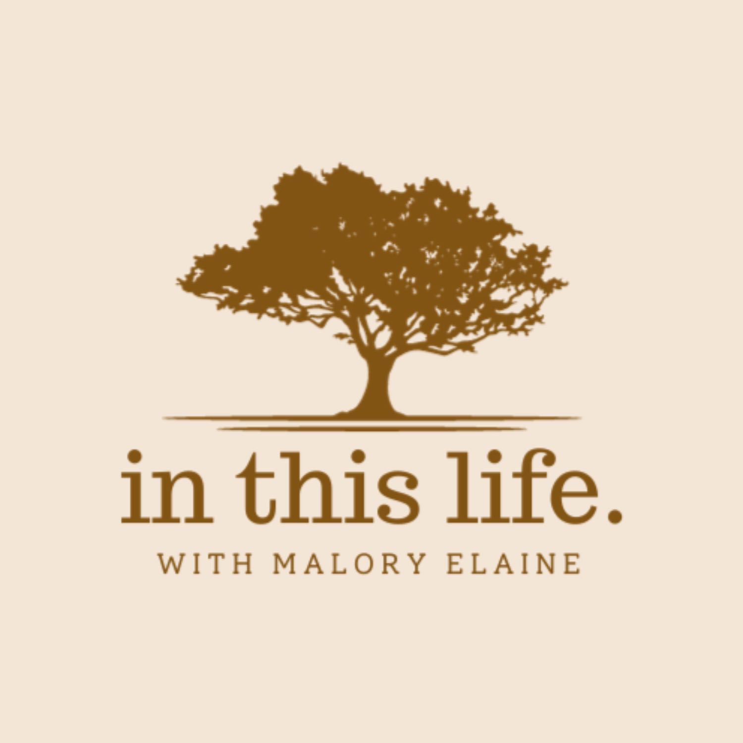 IN THIS LIFE, EP2: DEBRA DAVIS, Healed People Heal People 