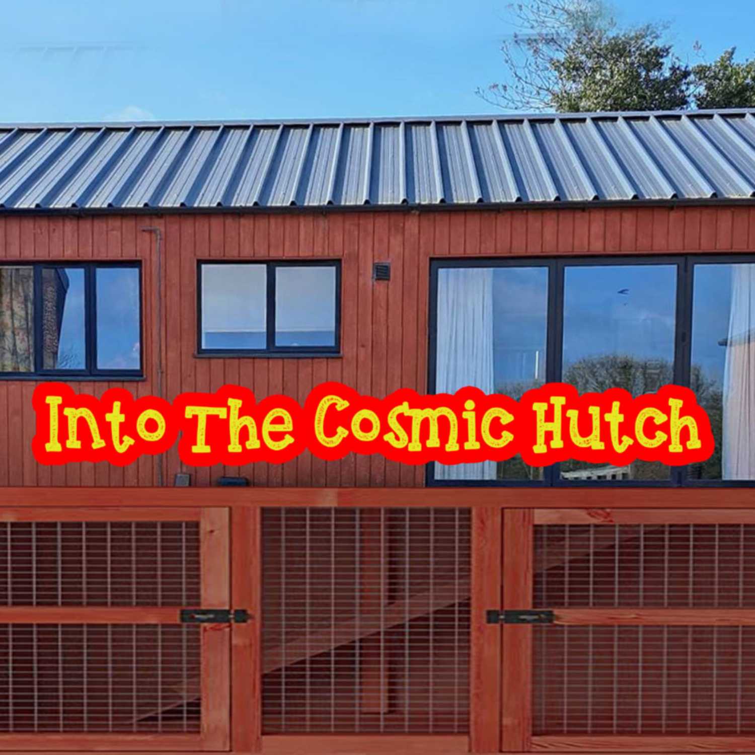 INTO THE COSMIC HUTCH - With Kris Needs & Nina Walsh podcast artwork