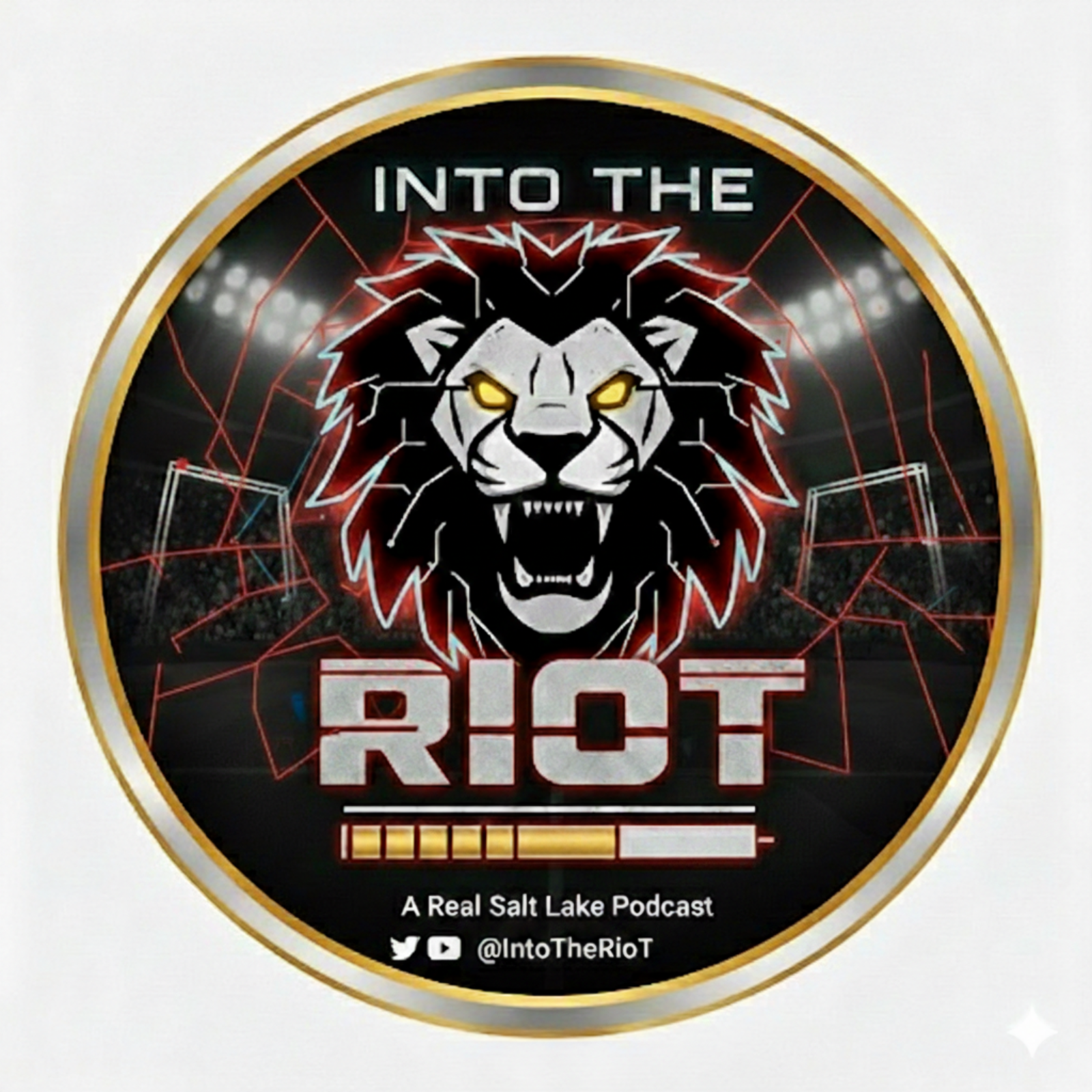 Into the RioT cover art