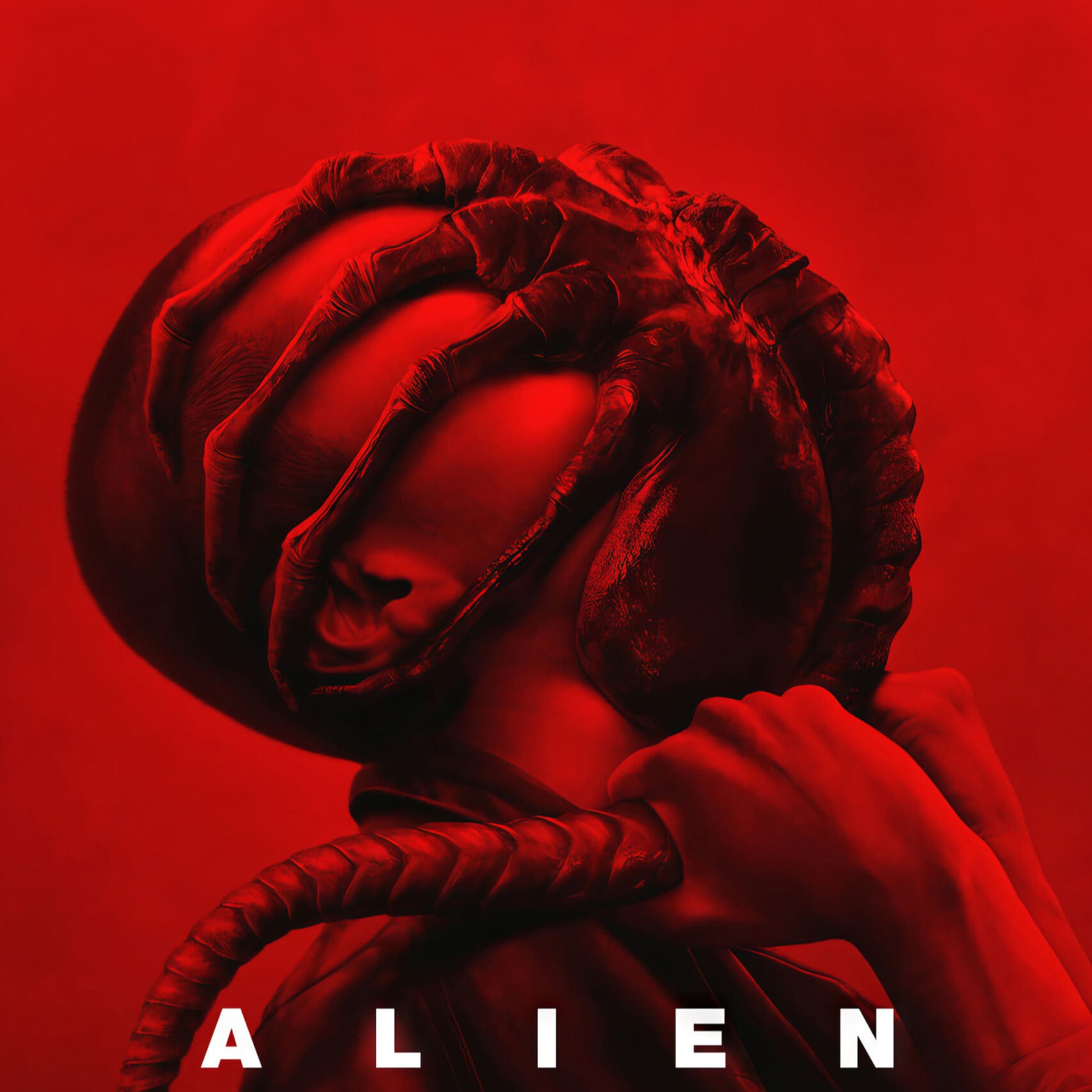 Alien Romulus (2024) Review - Kraven Trailer, Deadpool Hits 1 Billion, Ranking GOATED Sequel Movies