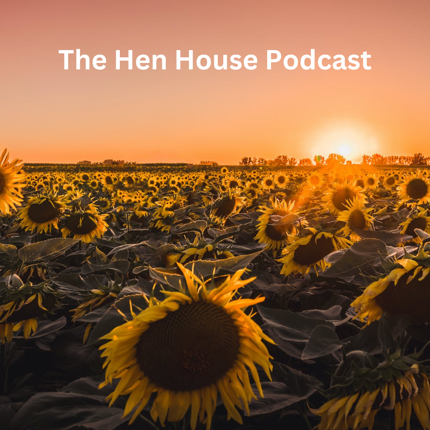 Into The Hen House - A Podcast For Moms