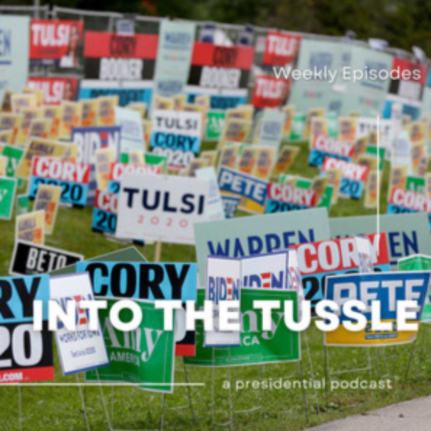 Into The Tussle
