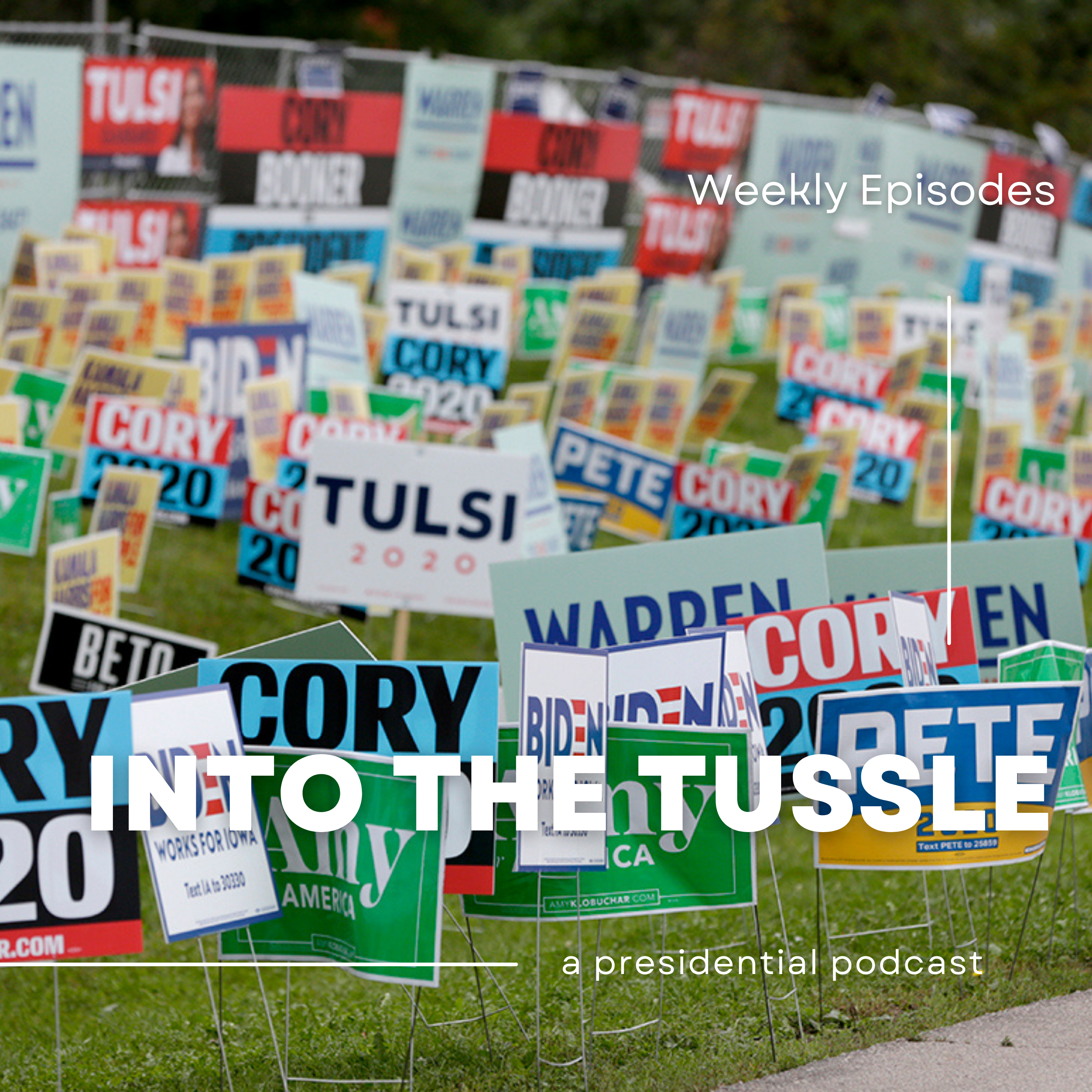 Into The Tussle