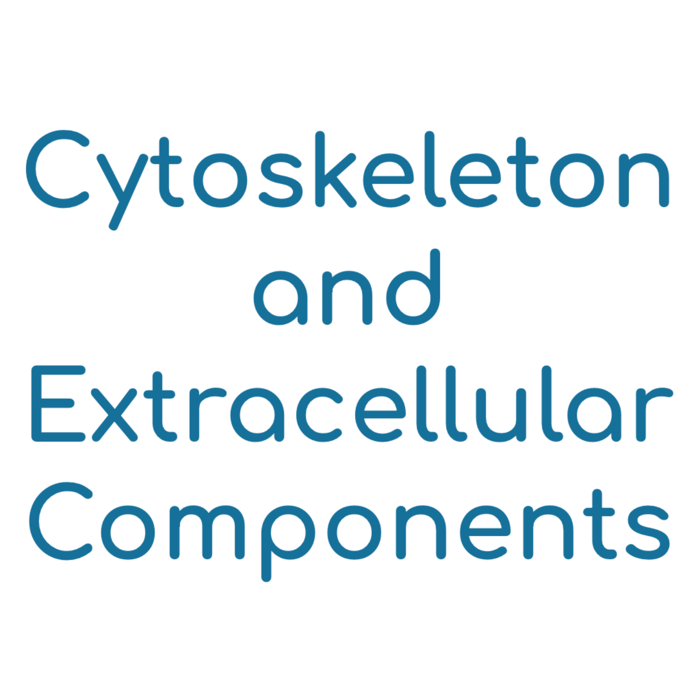 Cytoskeleton and Extracellular Components