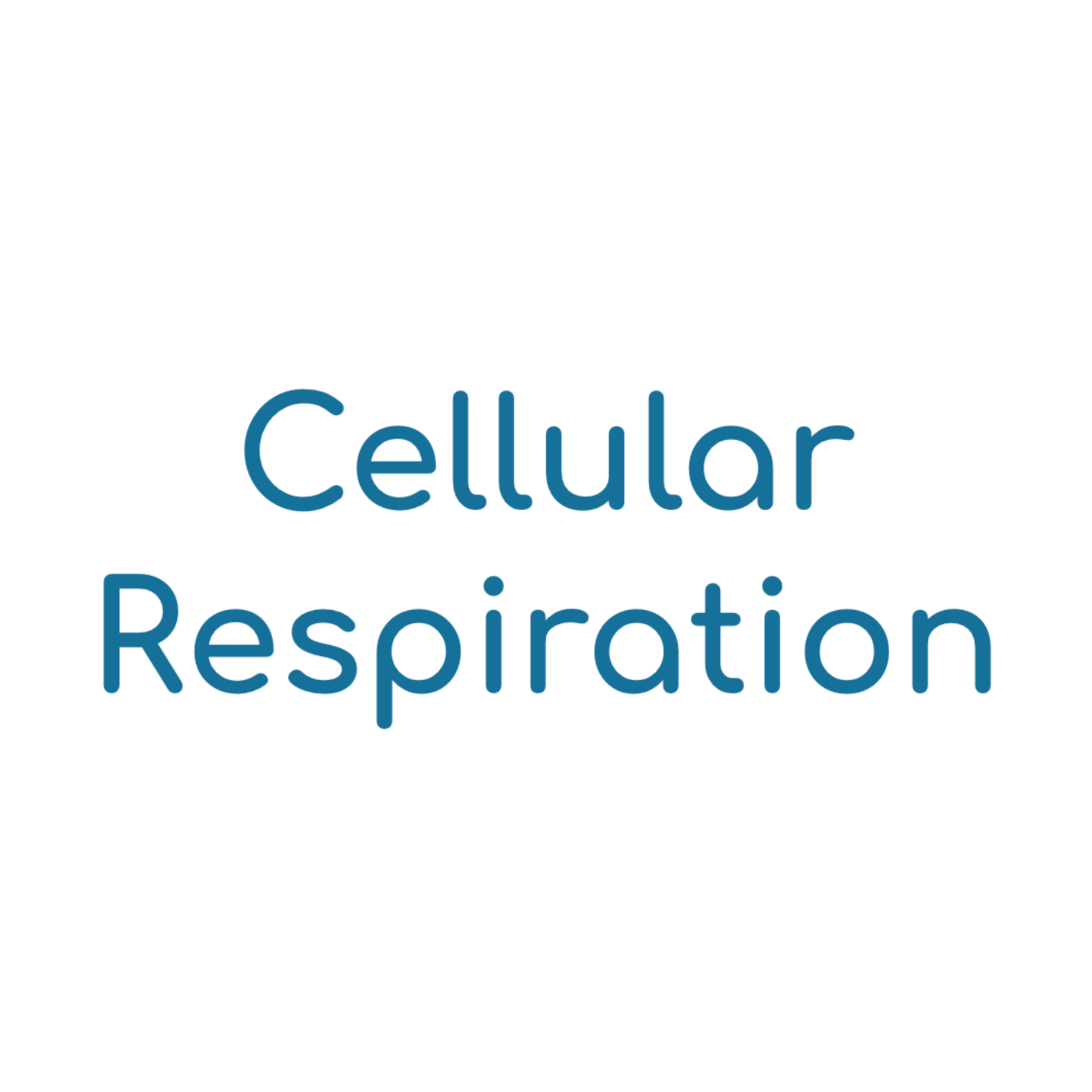 Cellular Respiration