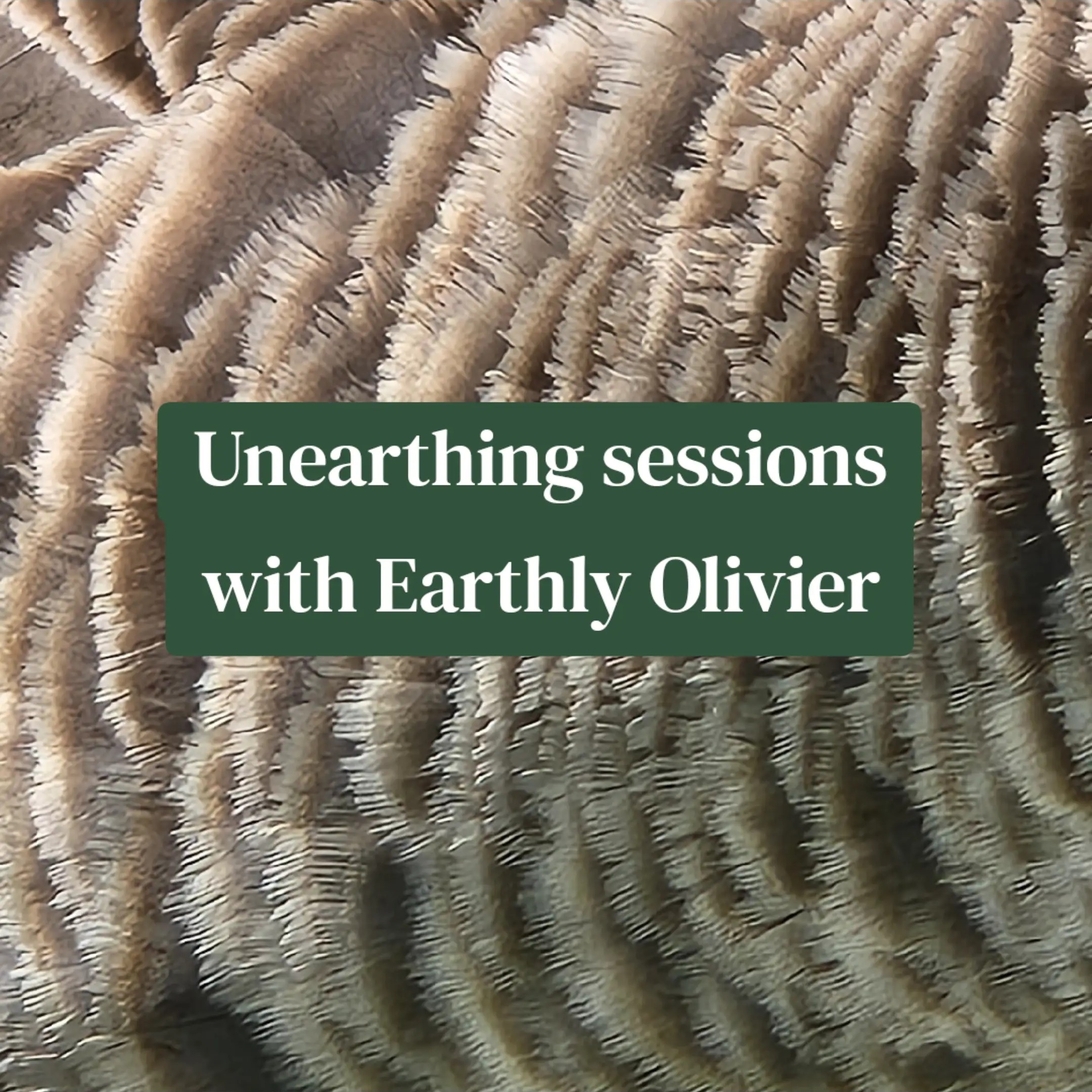 Unearthing sessions with Olivier