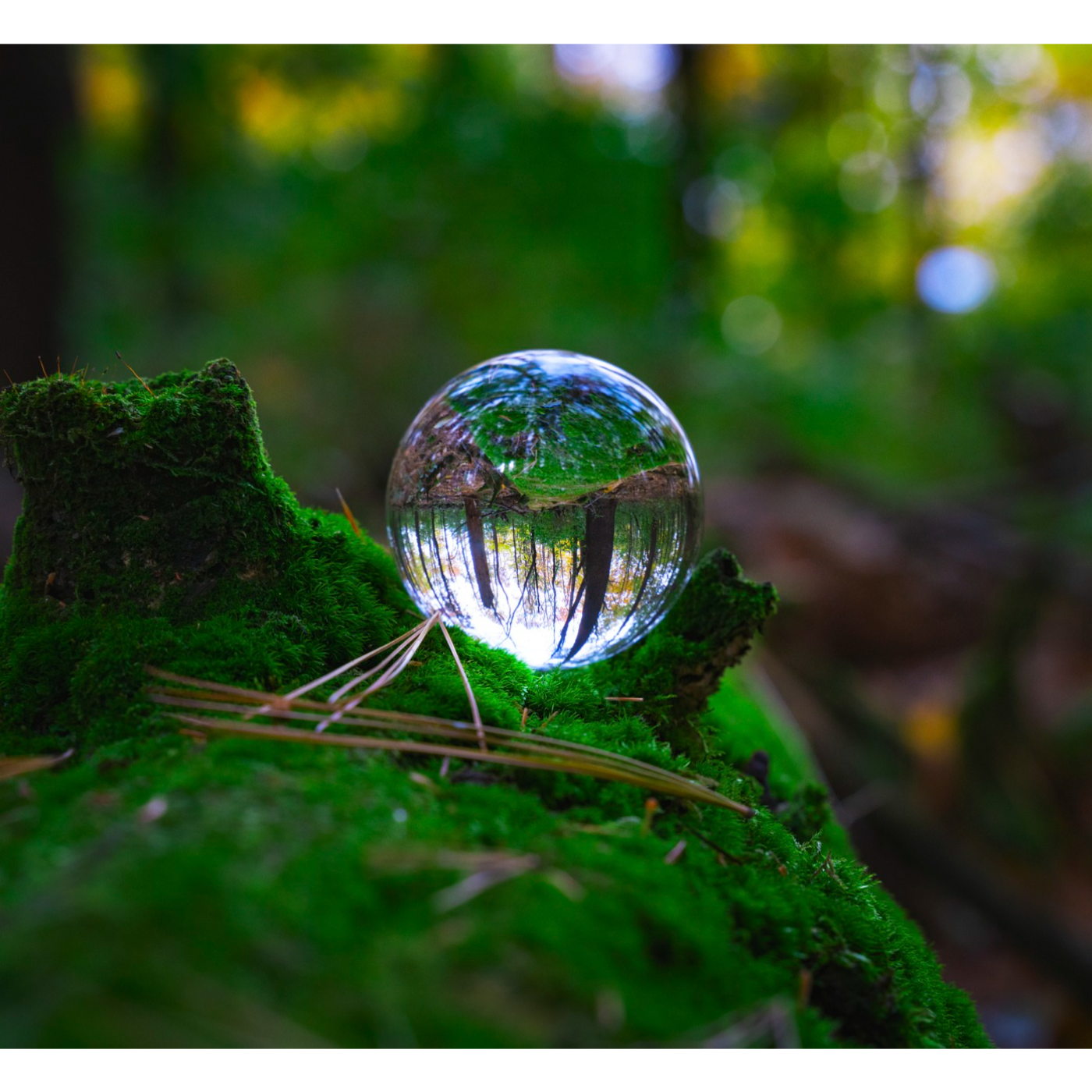 The Role of the Elements in Eco-Spirituality episode artwork