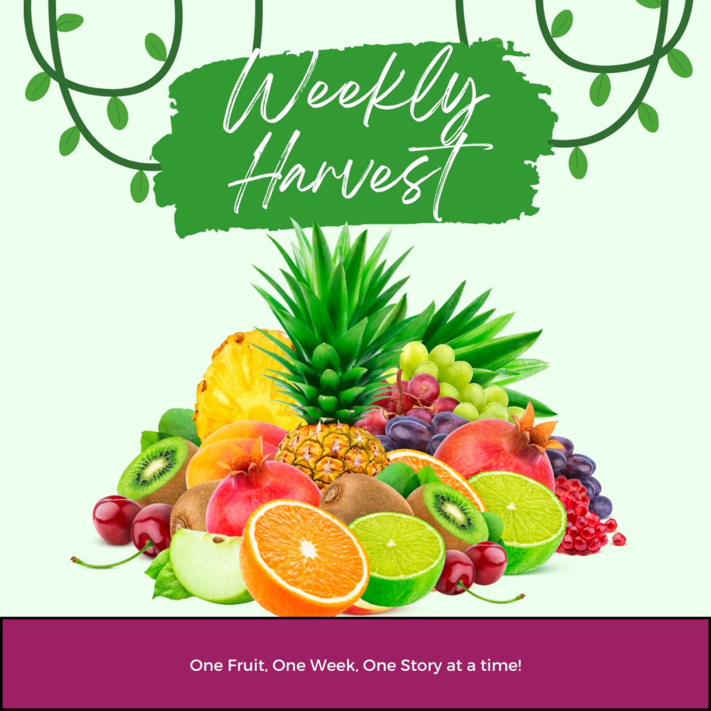 Introduction to Weekly Harvest