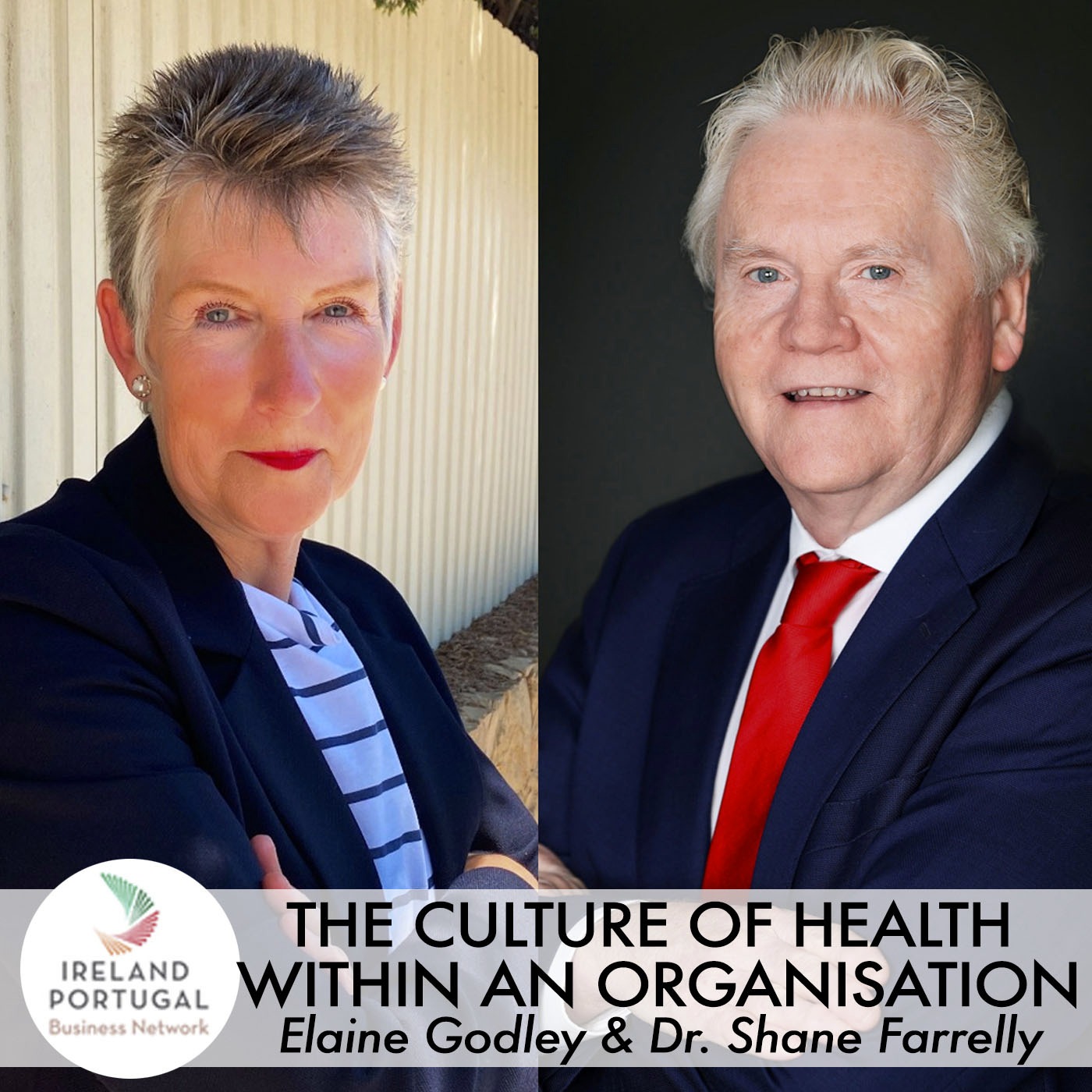 Ireland Portugal Business Network Podcast series