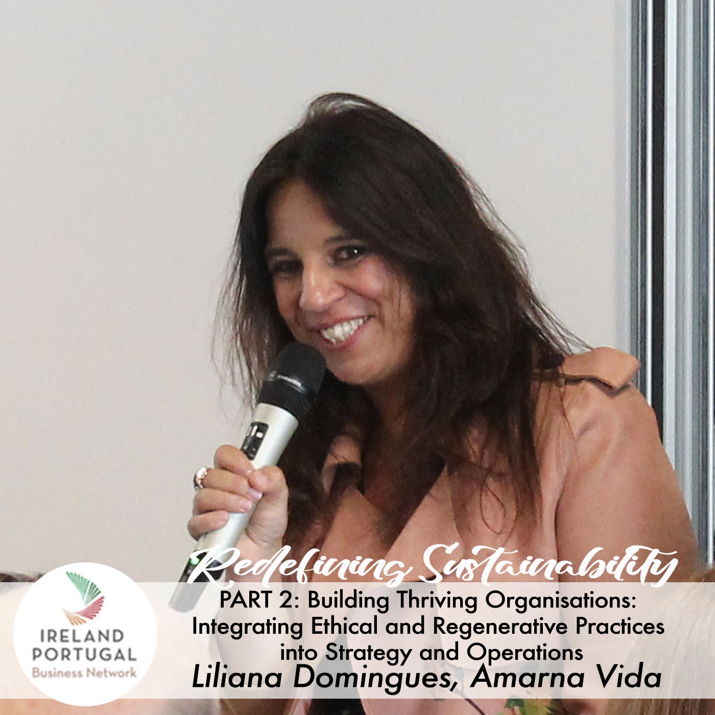 Ireland Portugal Business Network Podcast series
