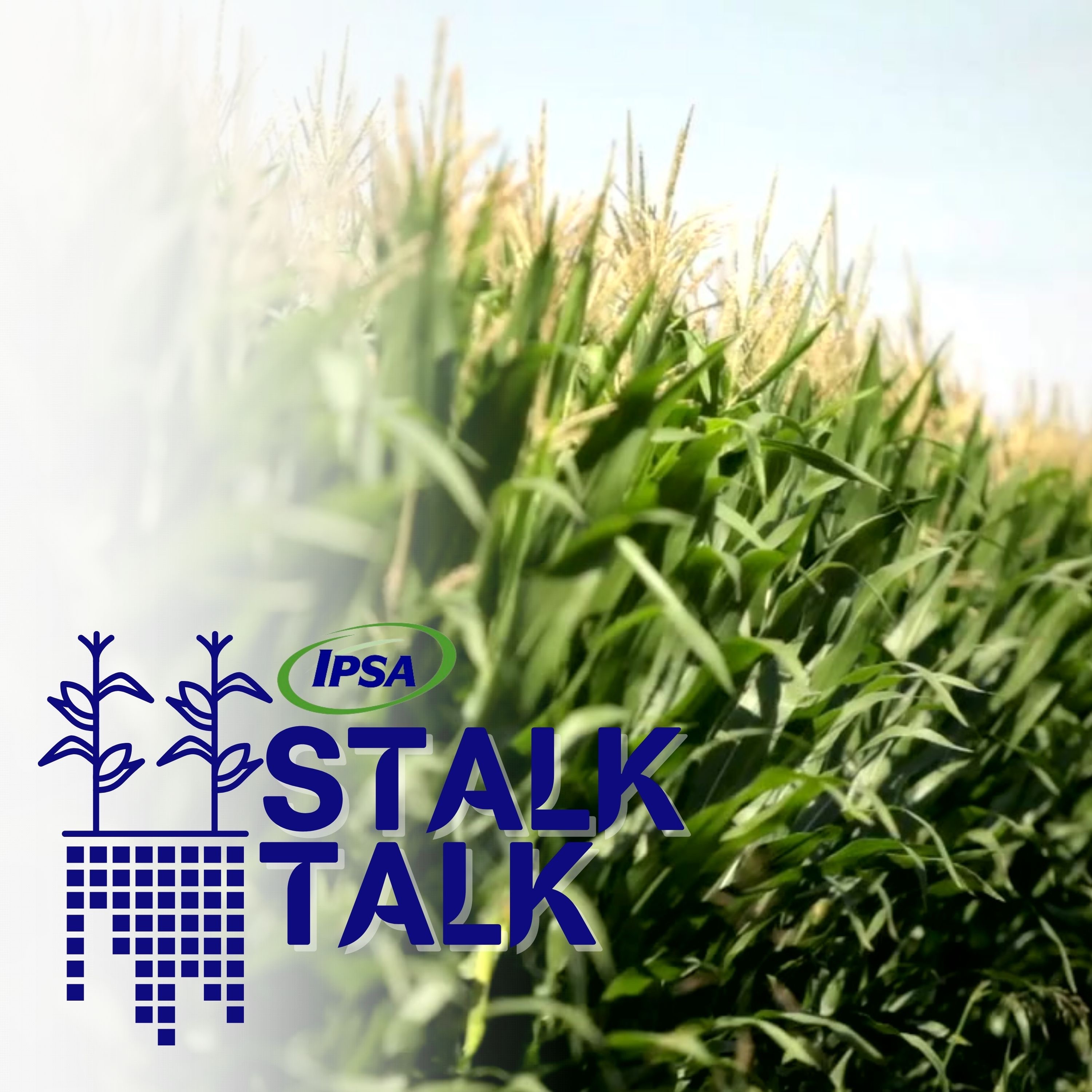StalkTalk with Matt Dahle StalkTalk with Matt Dahle