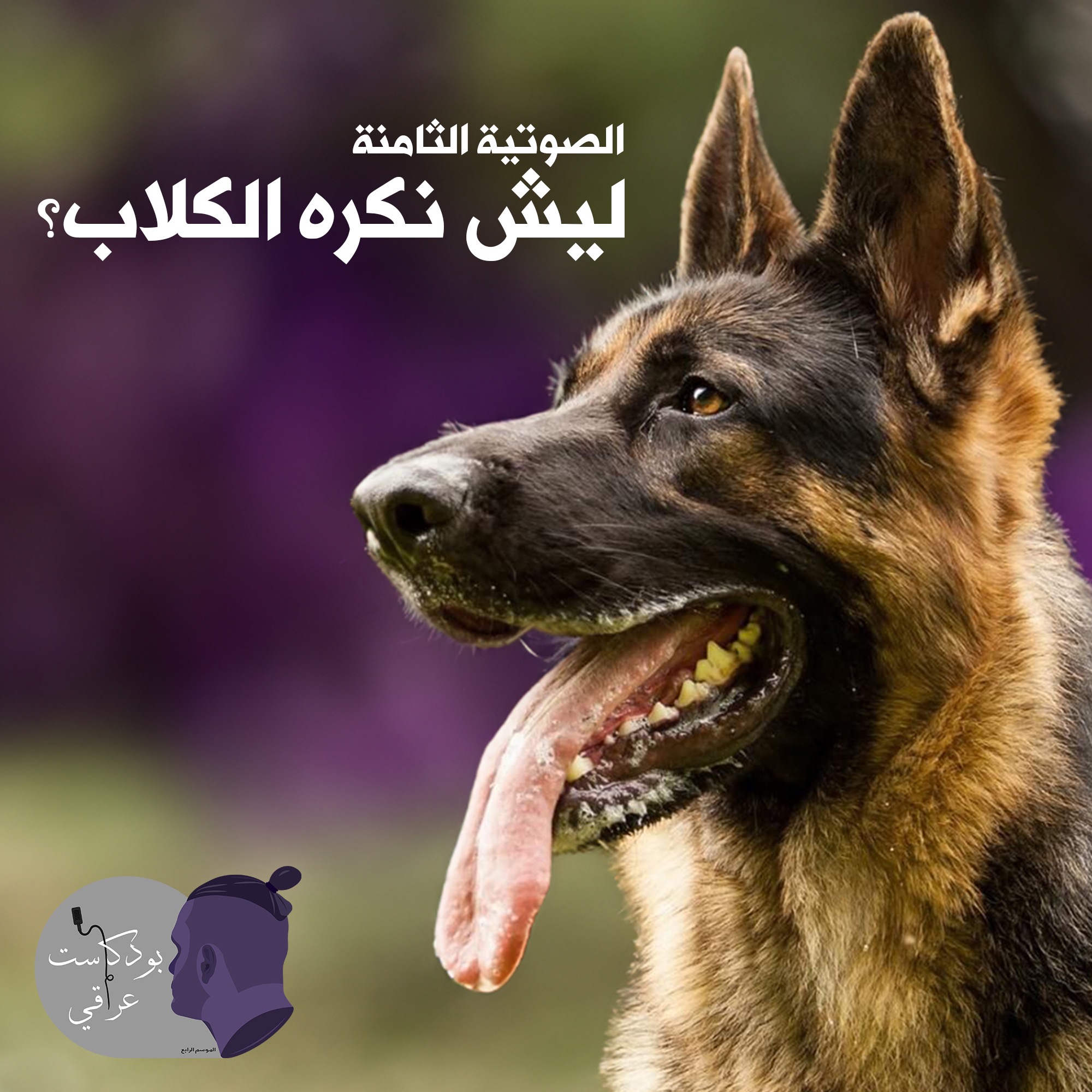 #8 ليش نكره الكلاب؟