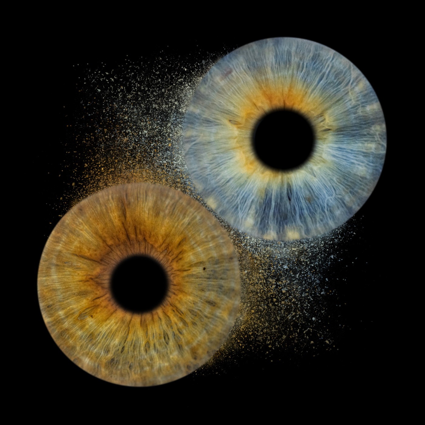 Iris Blink Podcast