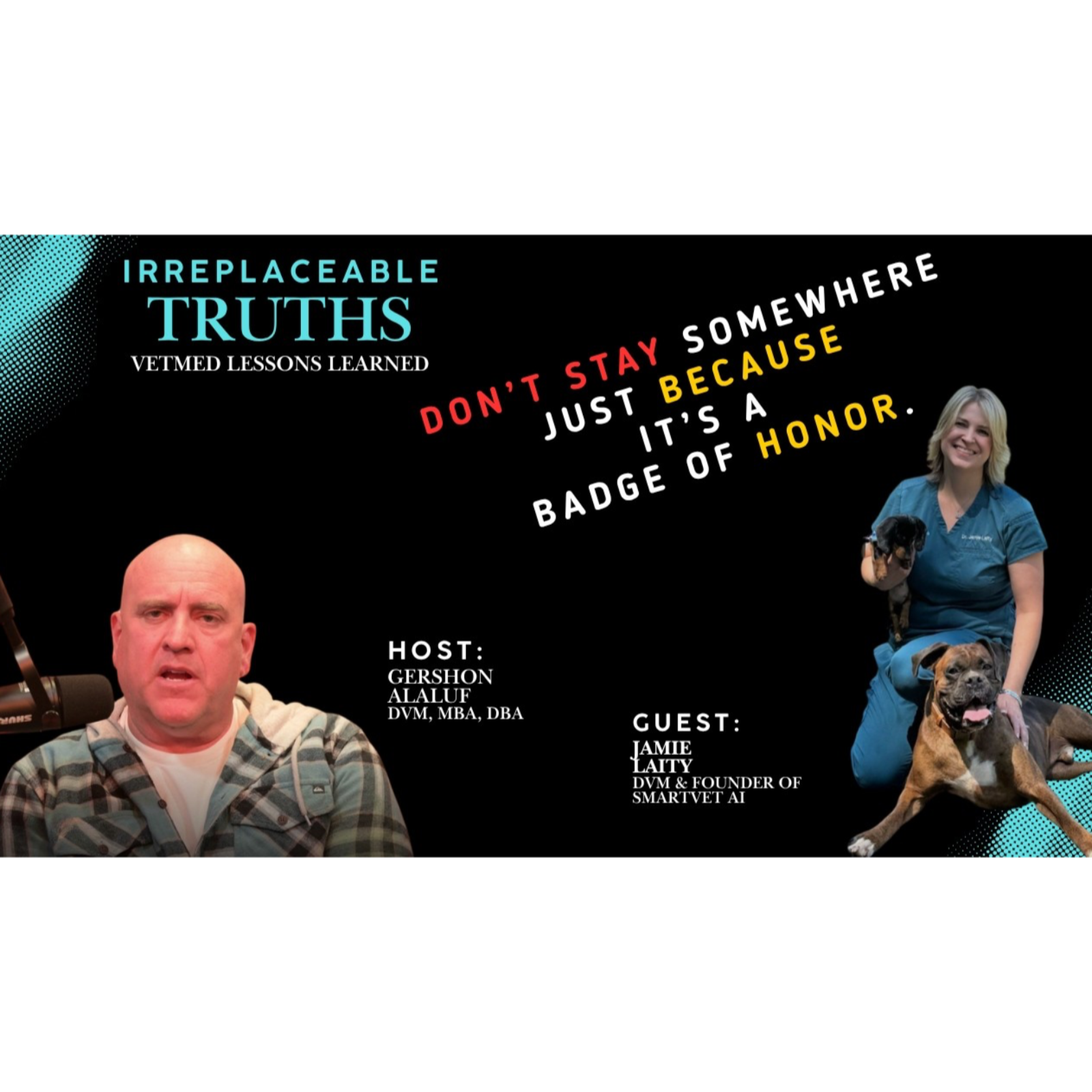 The Reality of Cognitive Fatigue | Dr. Jamie Laity on AI & Vet Identity | Irreplaceable Truths episode artwork