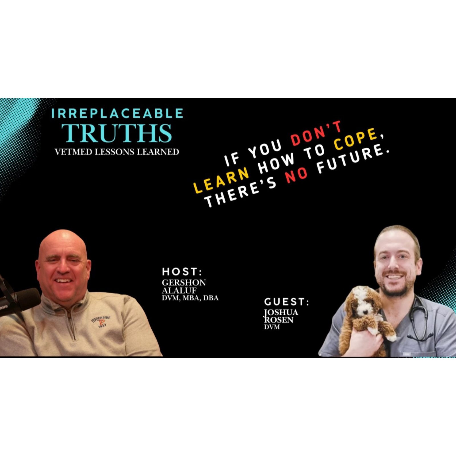 Is Opening More Vet Schools Insanity? | Dr. Josh Rosen on Fixing Vet Med | Irreplaceable Truths episode artwork