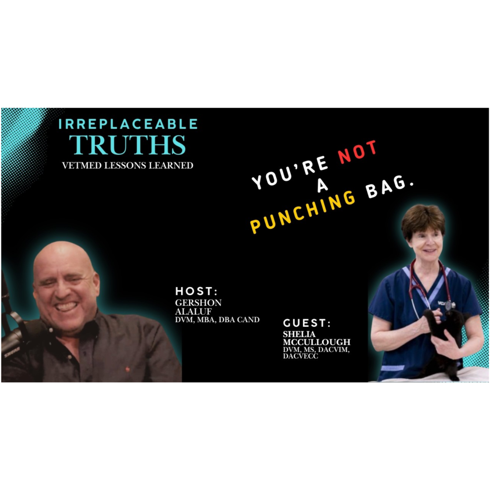 Sustainability Crisis in Vet Med? | Dr. Shelia McCullough on Vet Identity | Irreplaceable Truths episode artwork