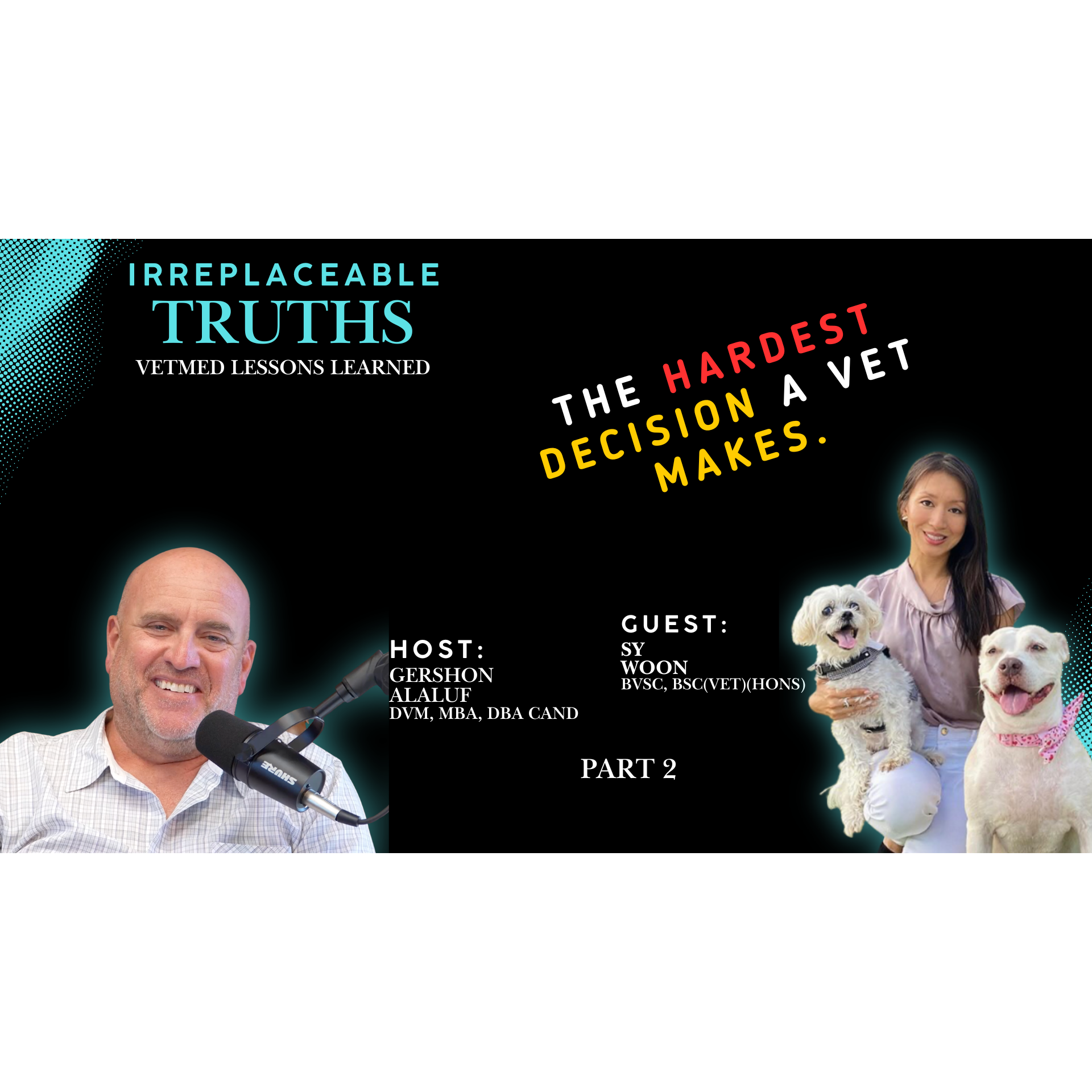 Artwork for Irreplaceable Truths