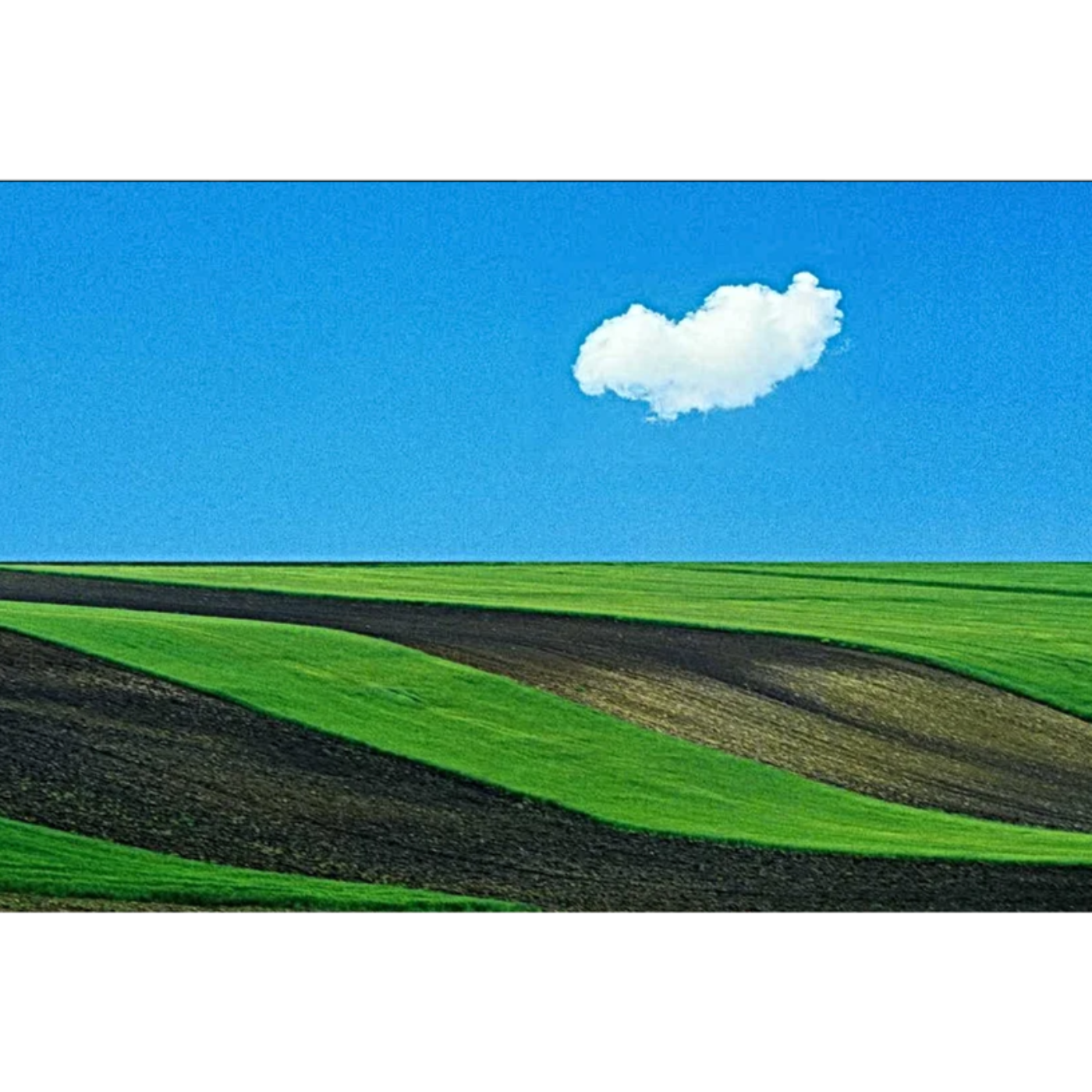 L\'isola a forma di banana