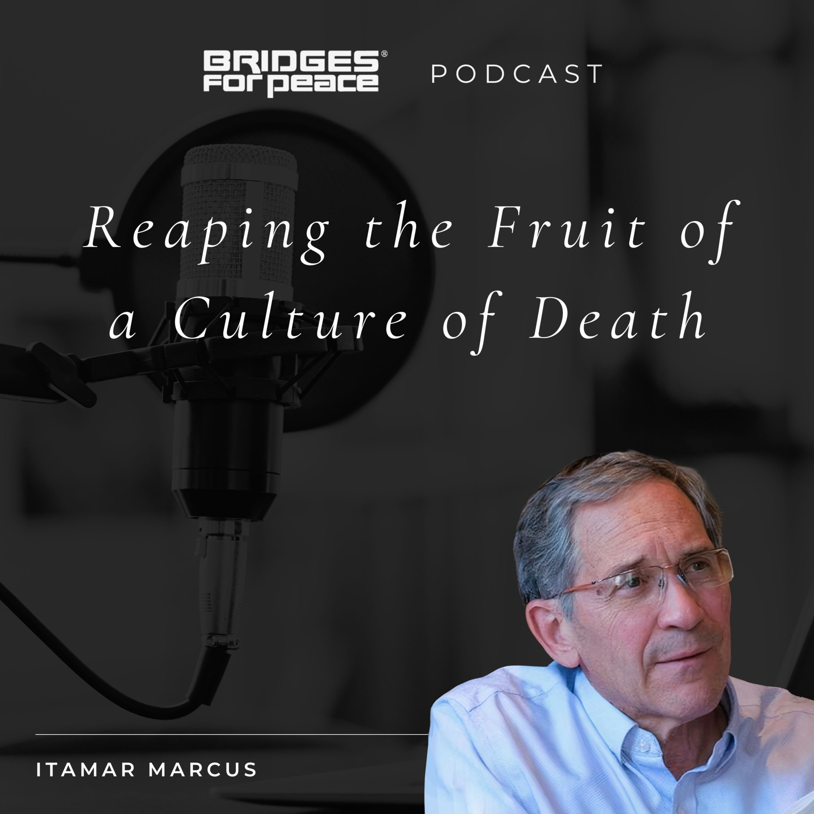 Reaping the Fruit of a Culture of Death episode artwork