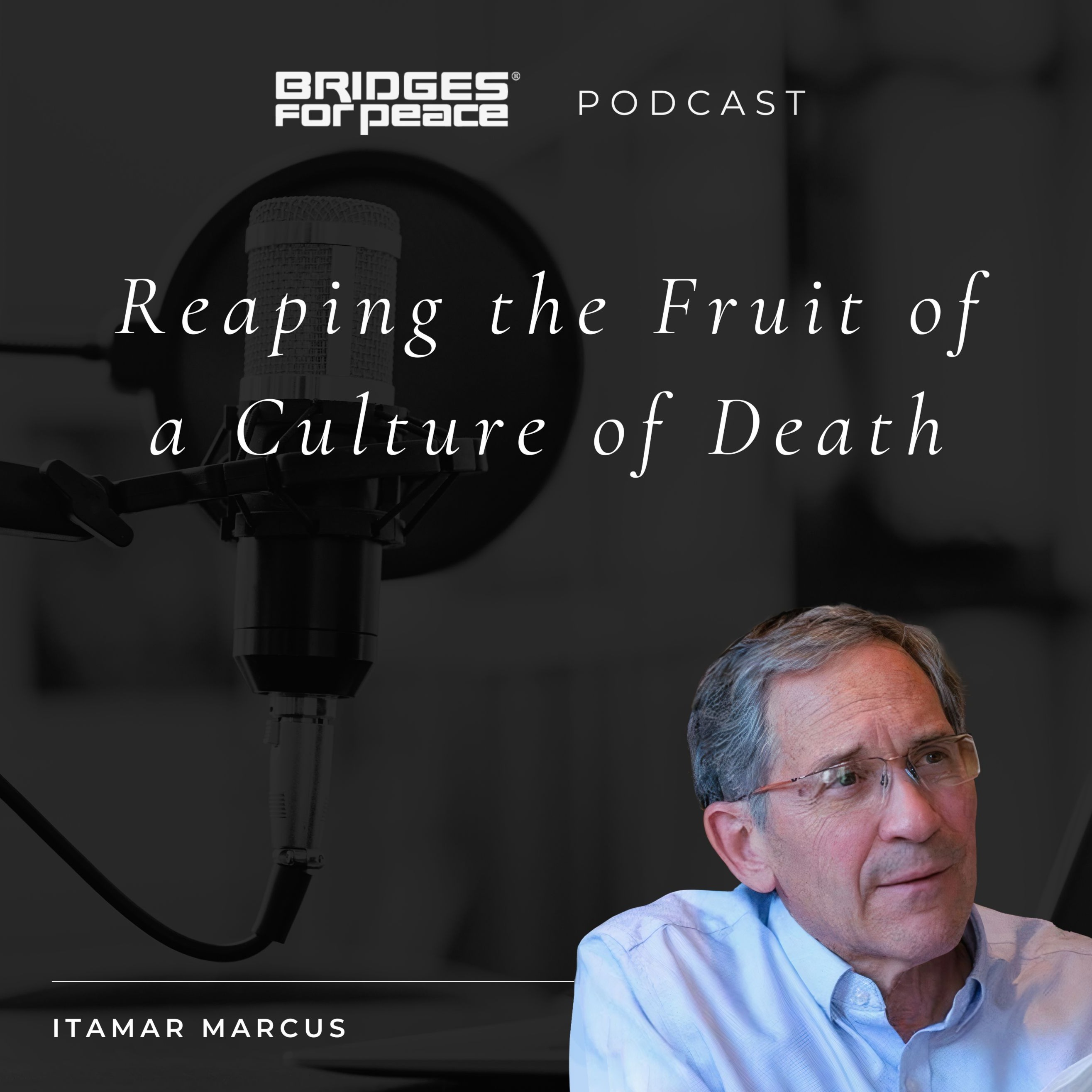 Reaping the Fruit of a Culture of Death episode artwork