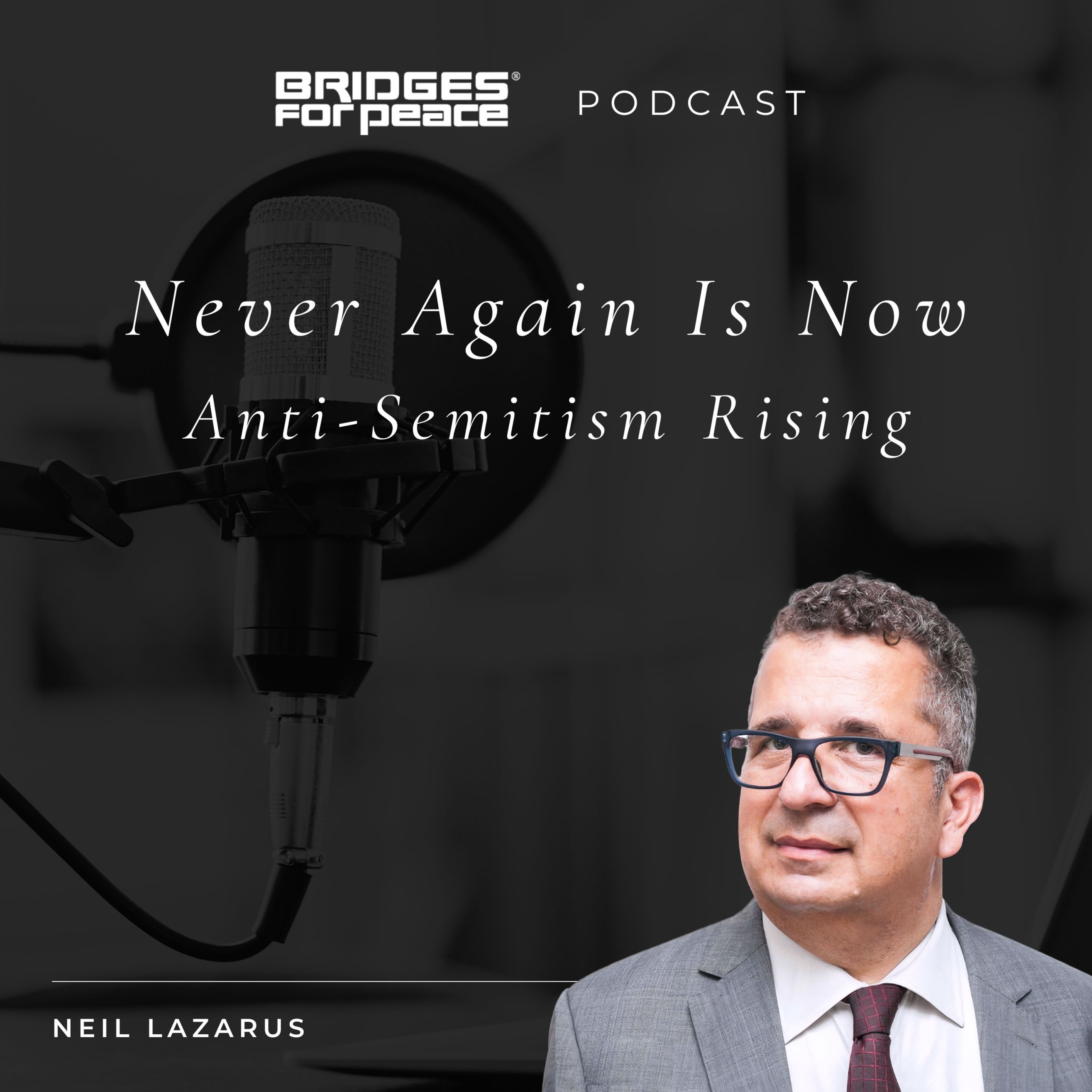 Never Again Is Now: Anti-Semitism Rising episode artwork