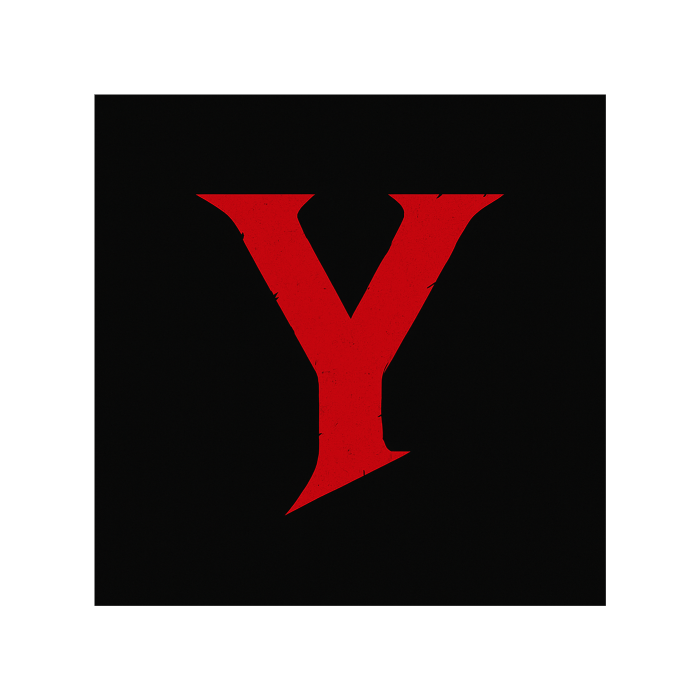 Youssef Mohammed