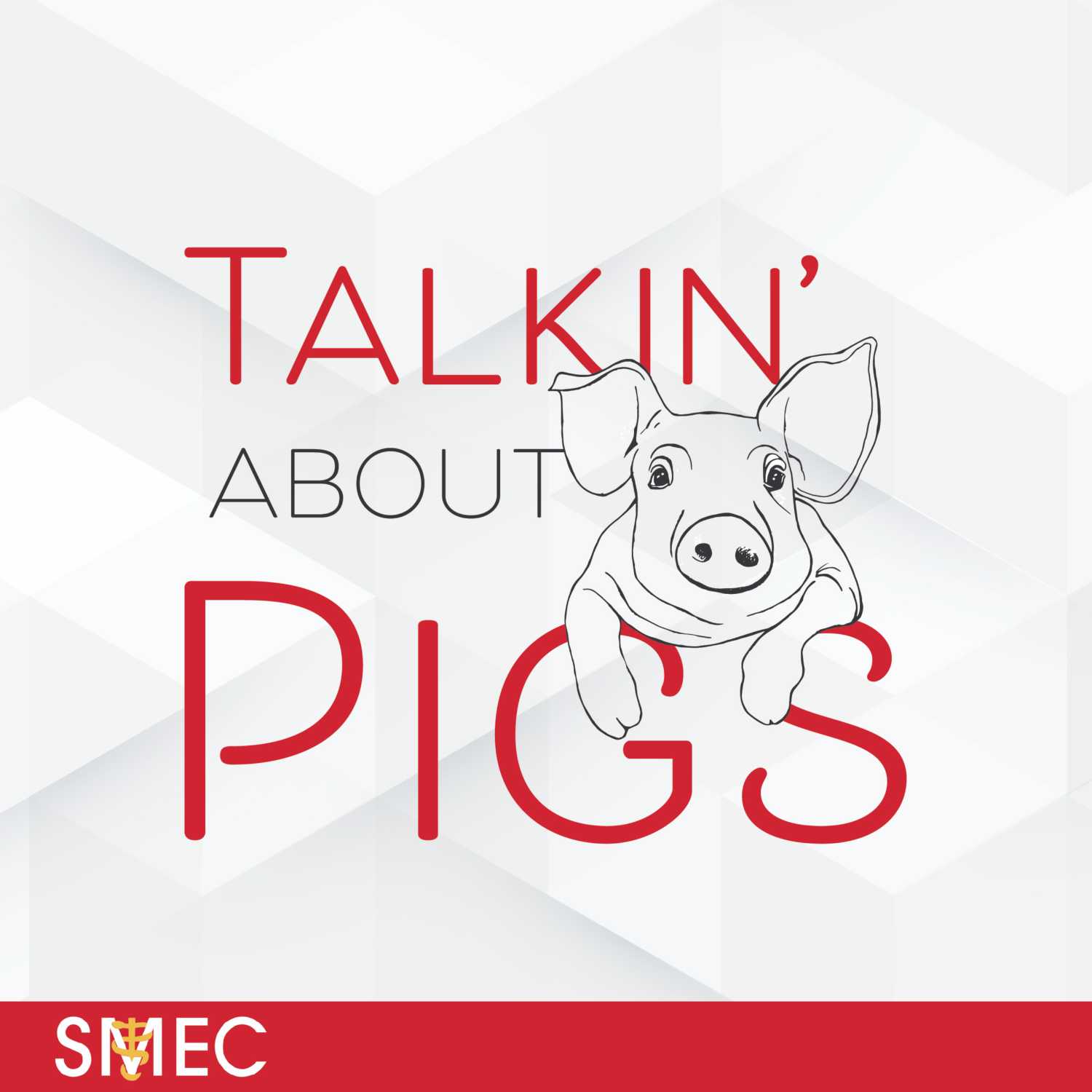 Talkin\' About Pigs