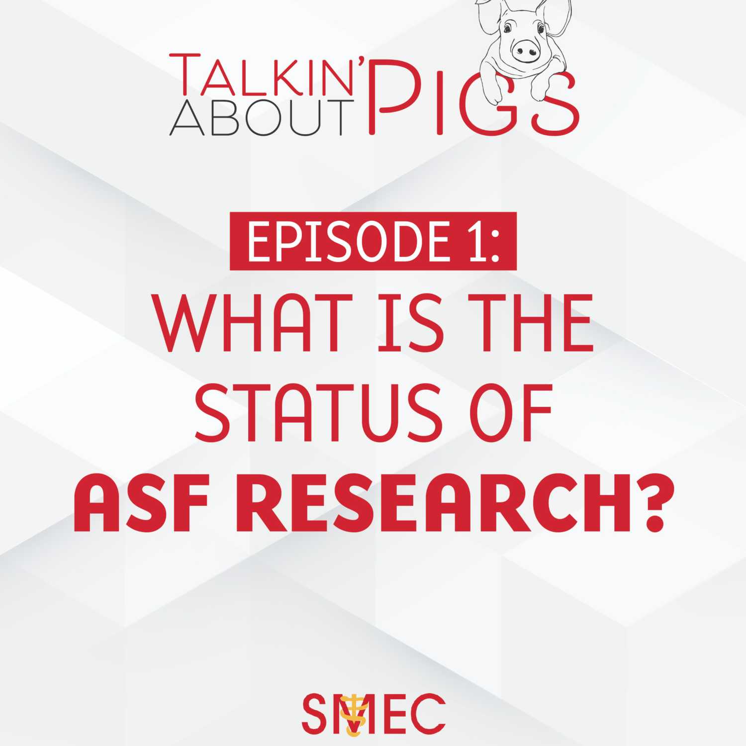 Talkin\' About Pigs