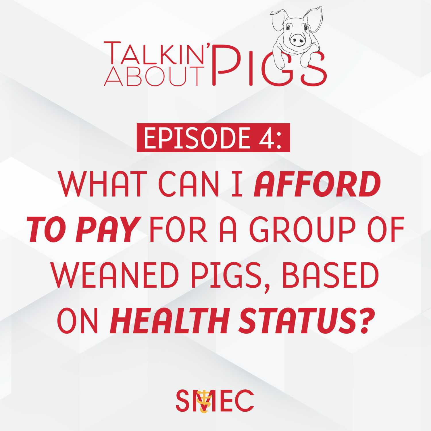 Talkin\' About Pigs