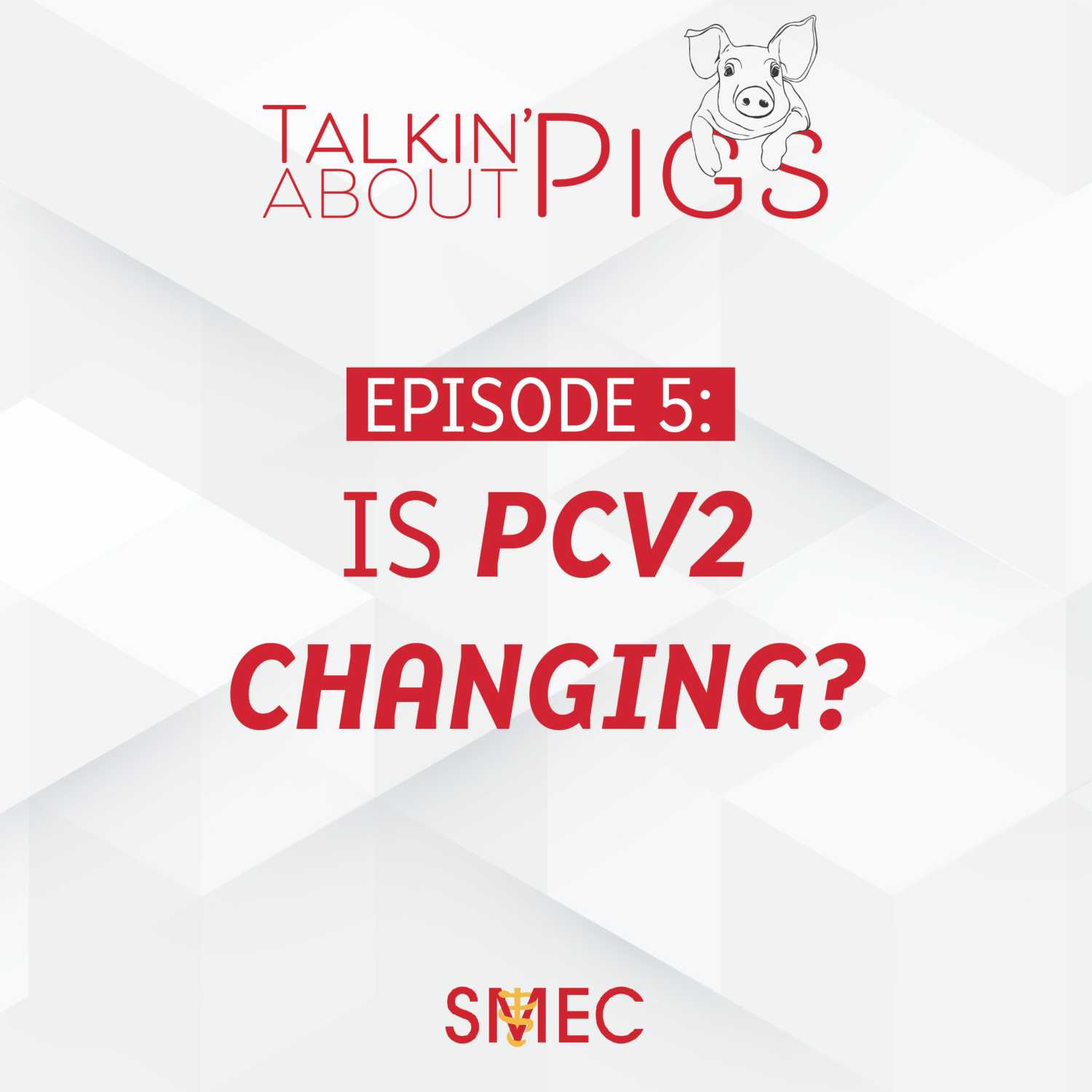 Talkin\' About Pigs