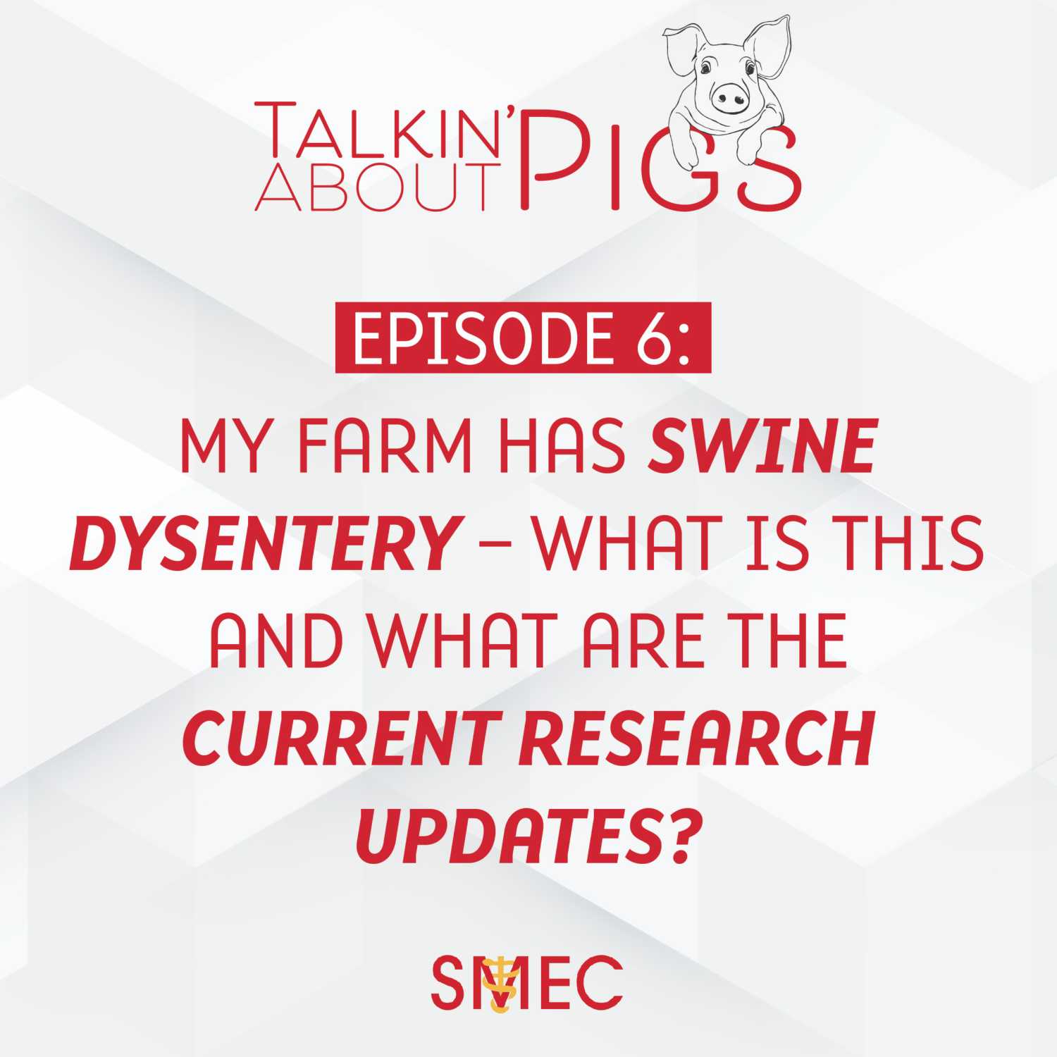 Talkin\' About Pigs
