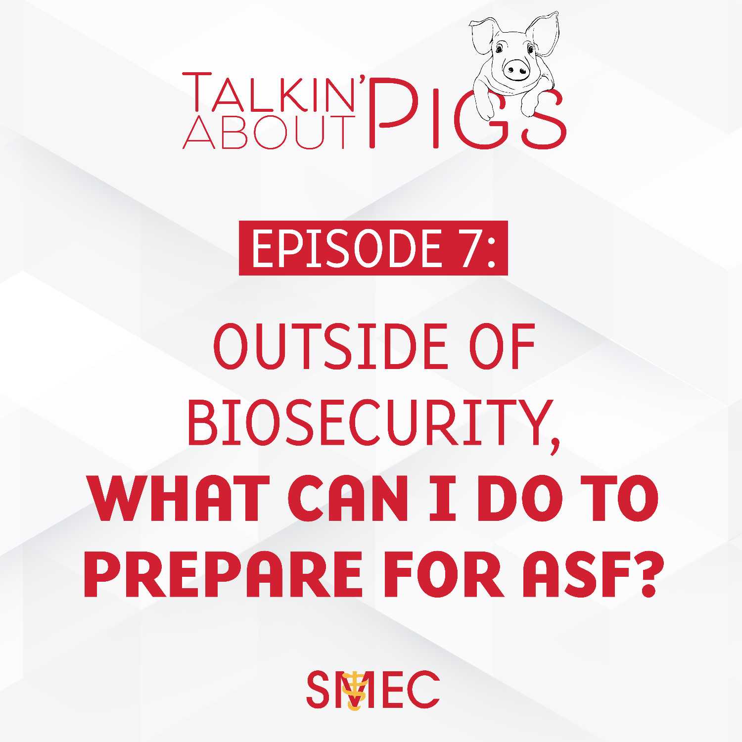 Talkin\' About Pigs