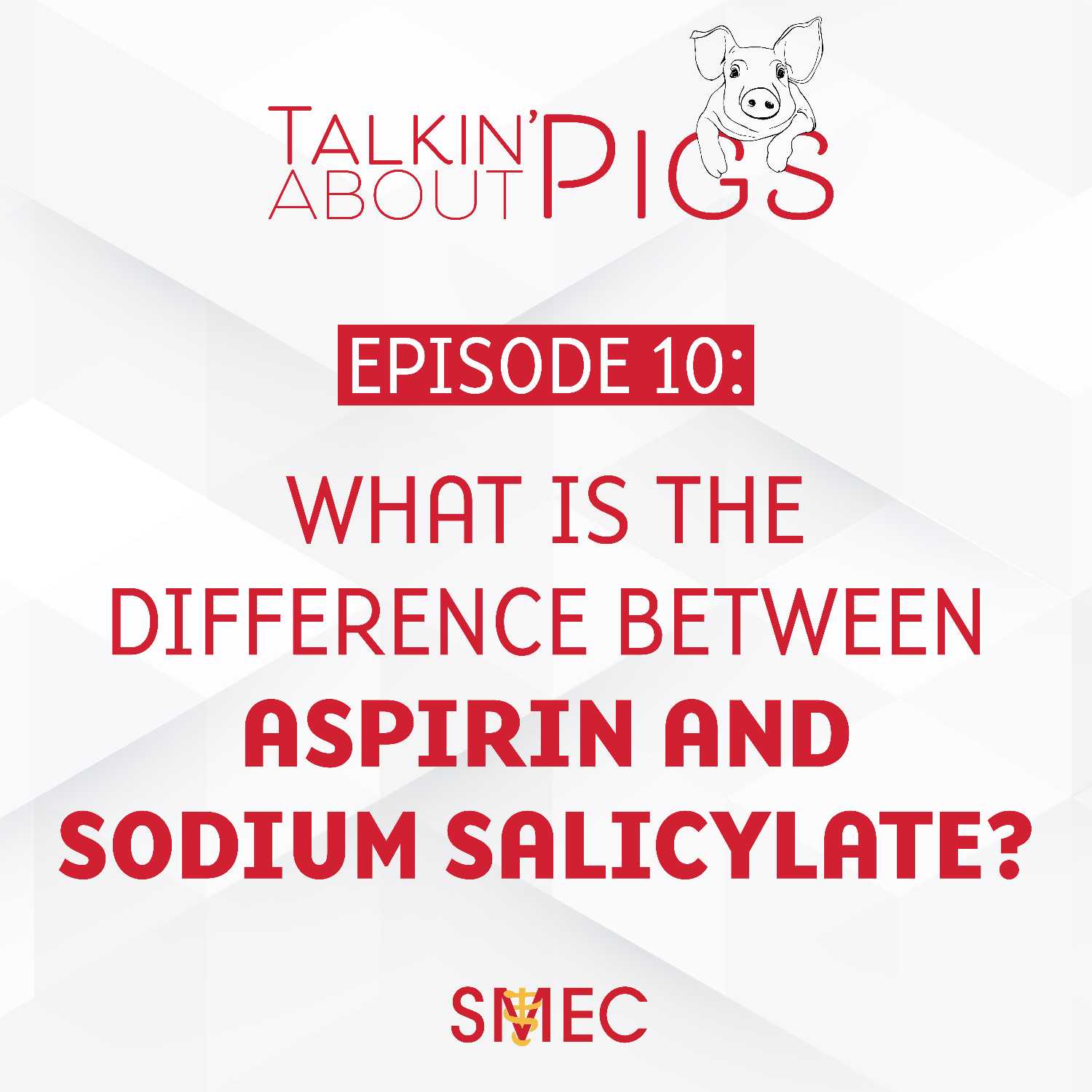 Talkin\' About Pigs