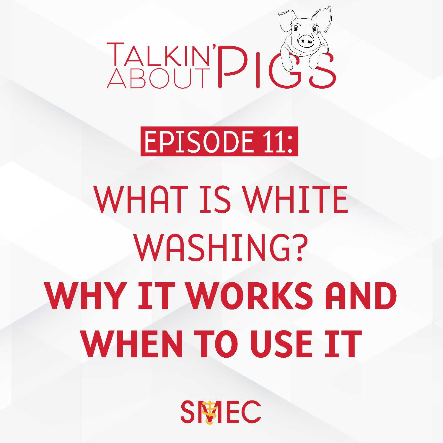 Talkin\' About Pigs
