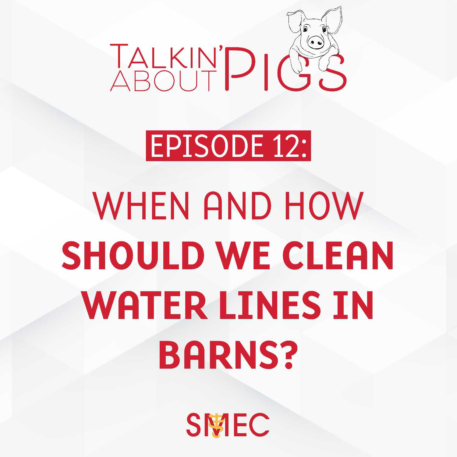 Talkin\' About Pigs