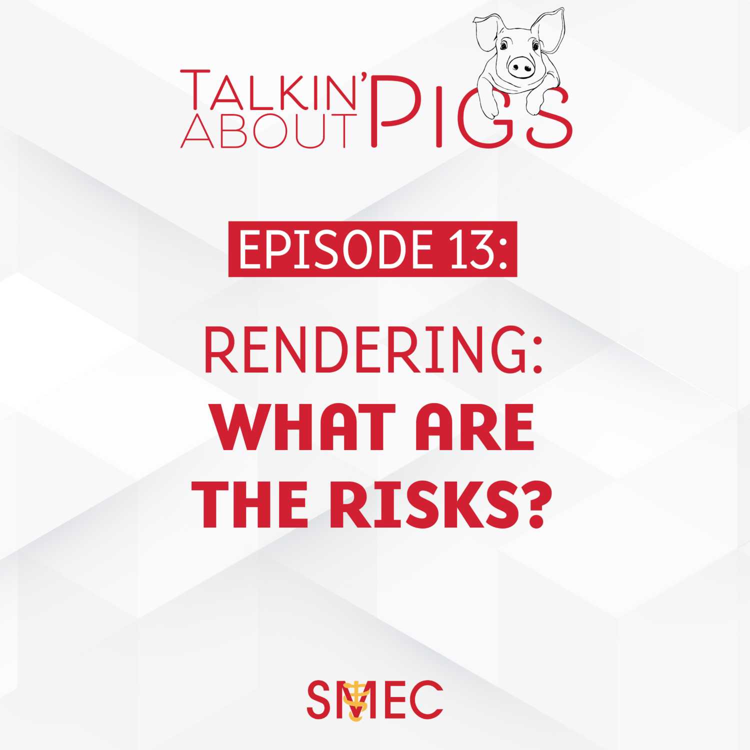 Talkin\' About Pigs