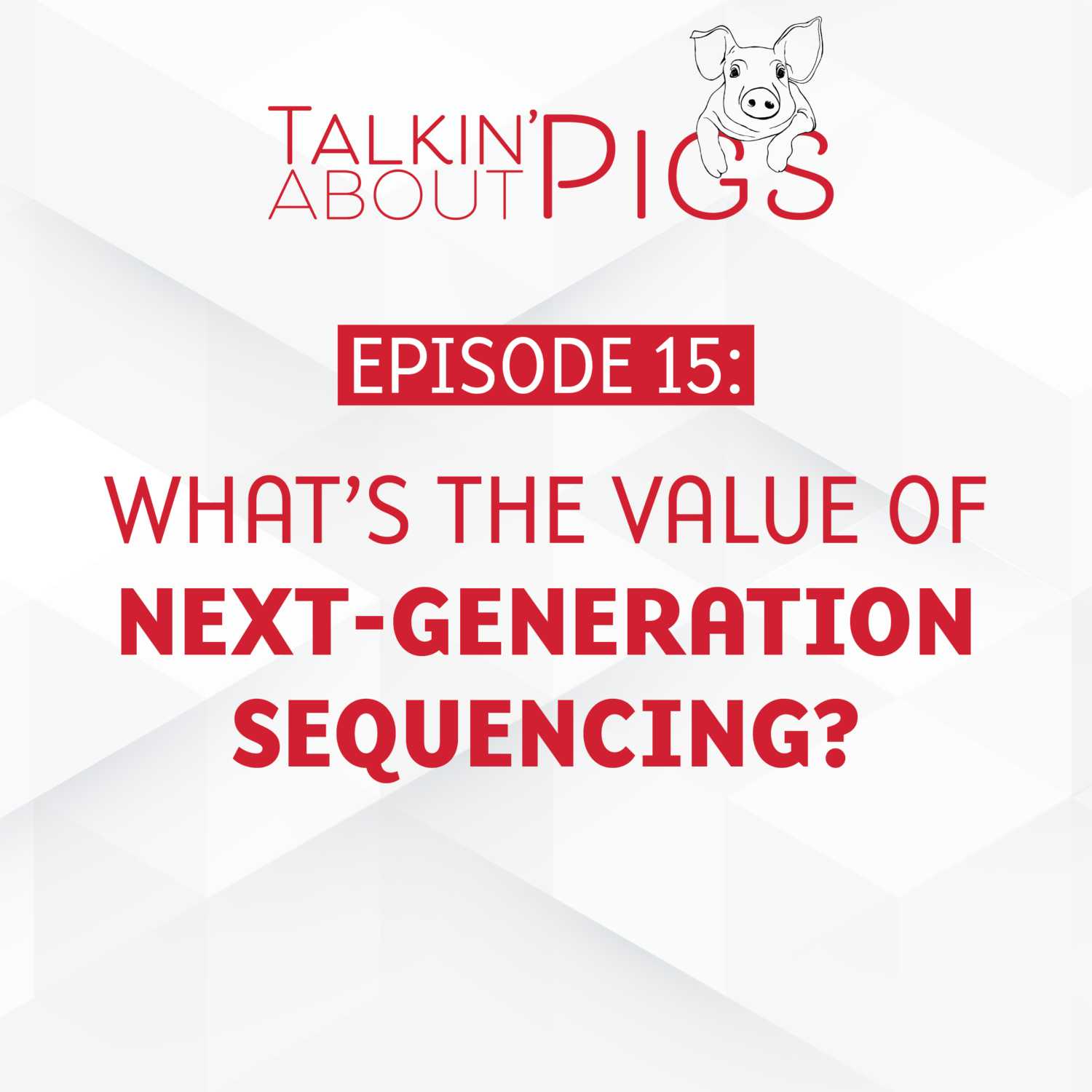 Talkin\' About Pigs