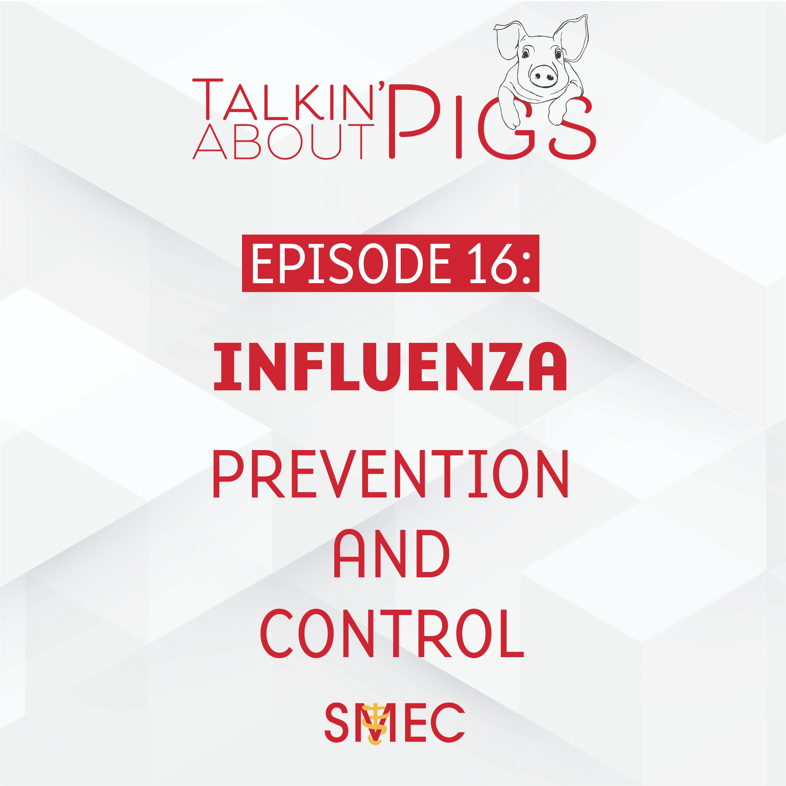 Talkin\' About Pigs