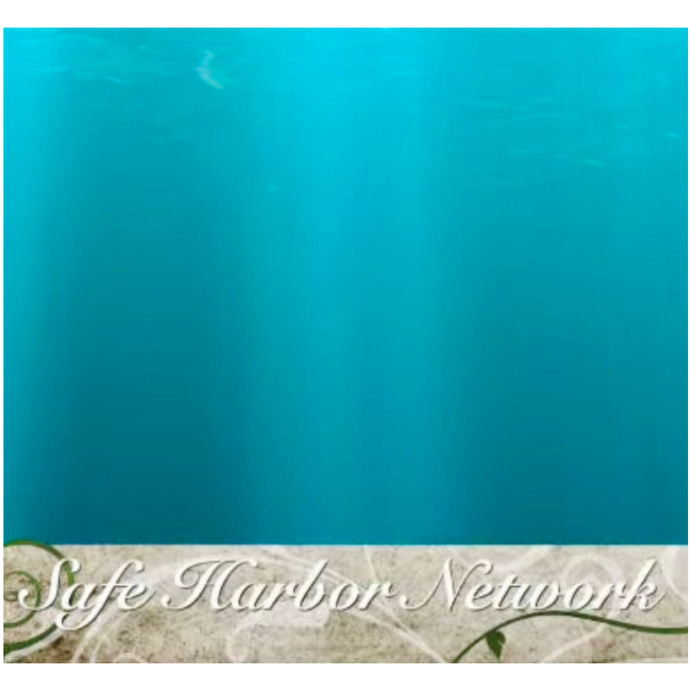 Safe Harbor Network