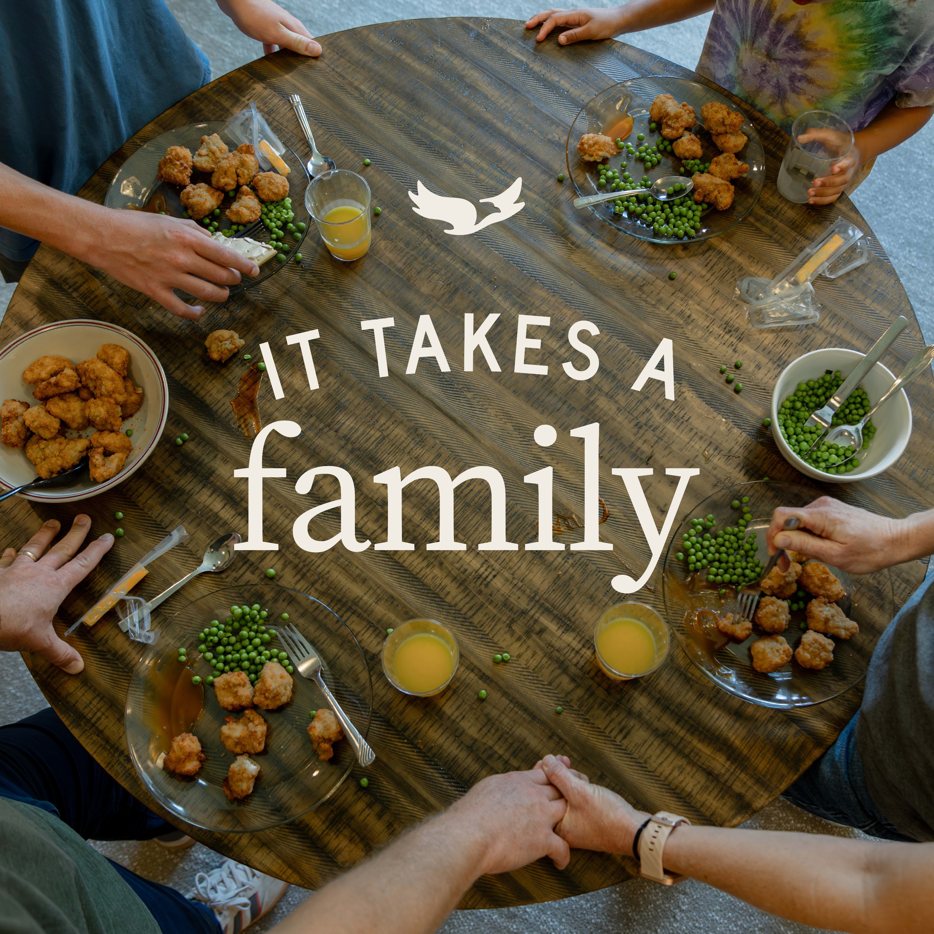 It Takes a Family