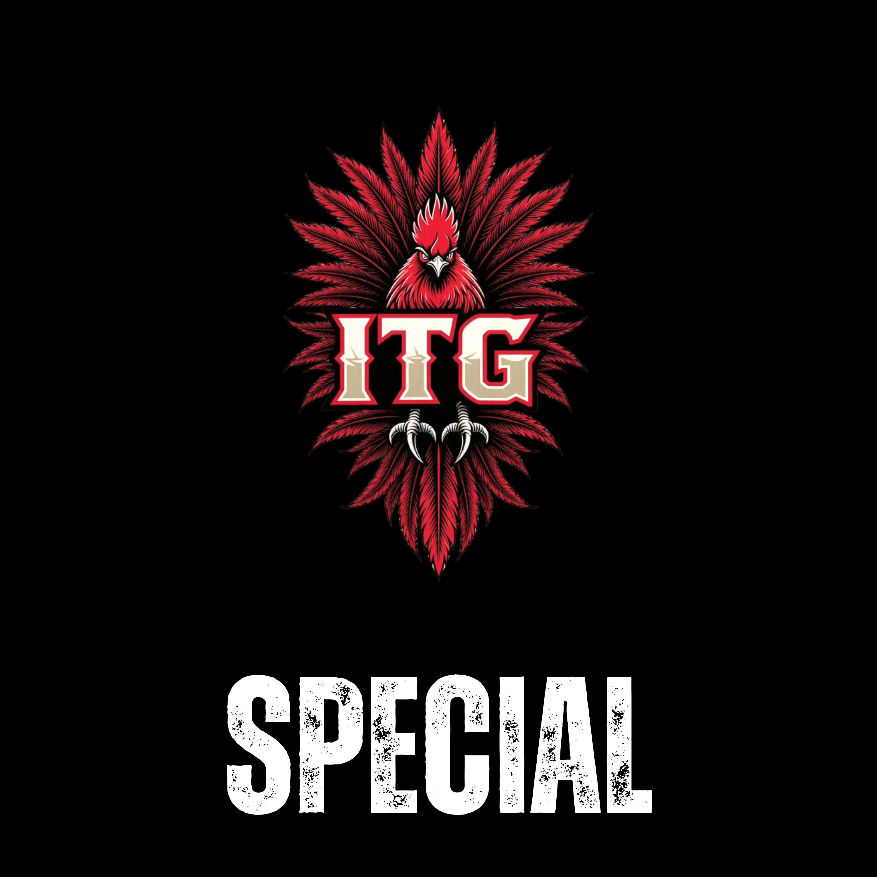 ITG Breaking News Special: Gamecocks land a DT and a Center