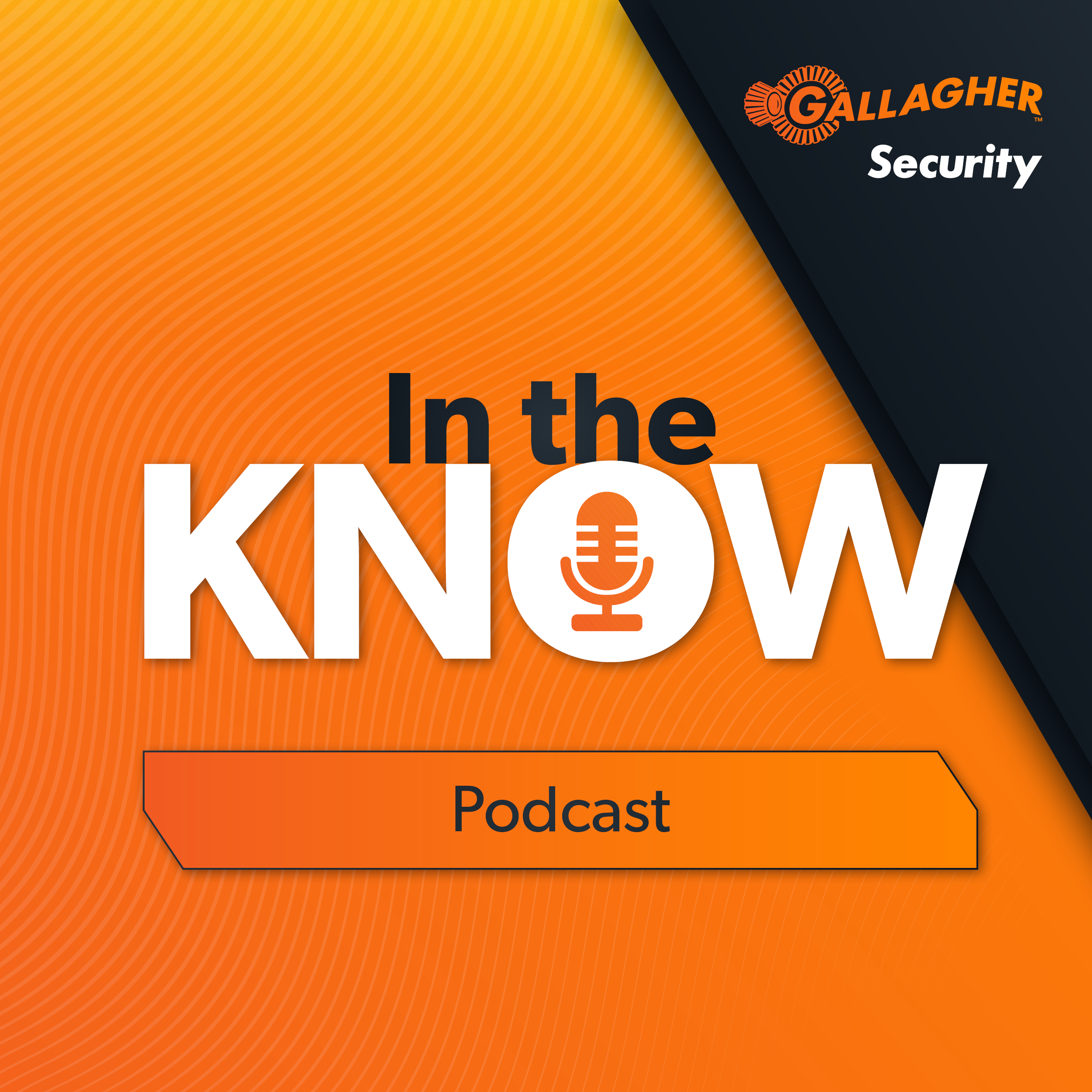 In The Know