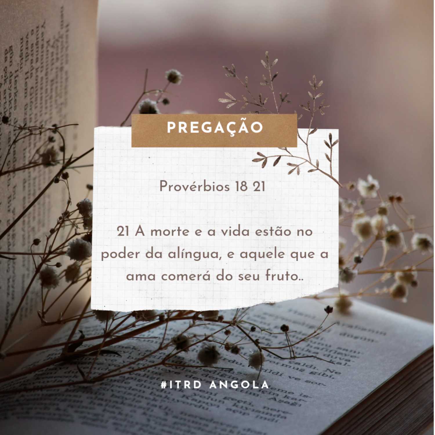 A MORTE E A VIDA NO PODER DA LÍNGUA podcast artwork