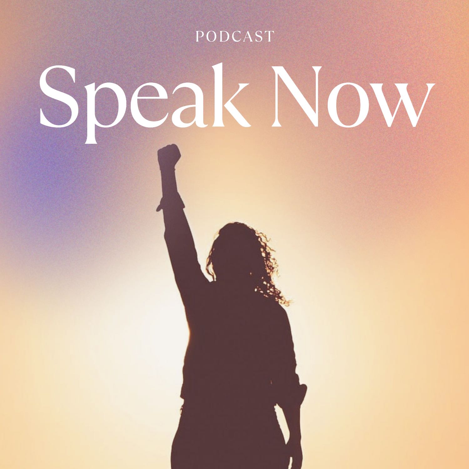 Speak Now cover art