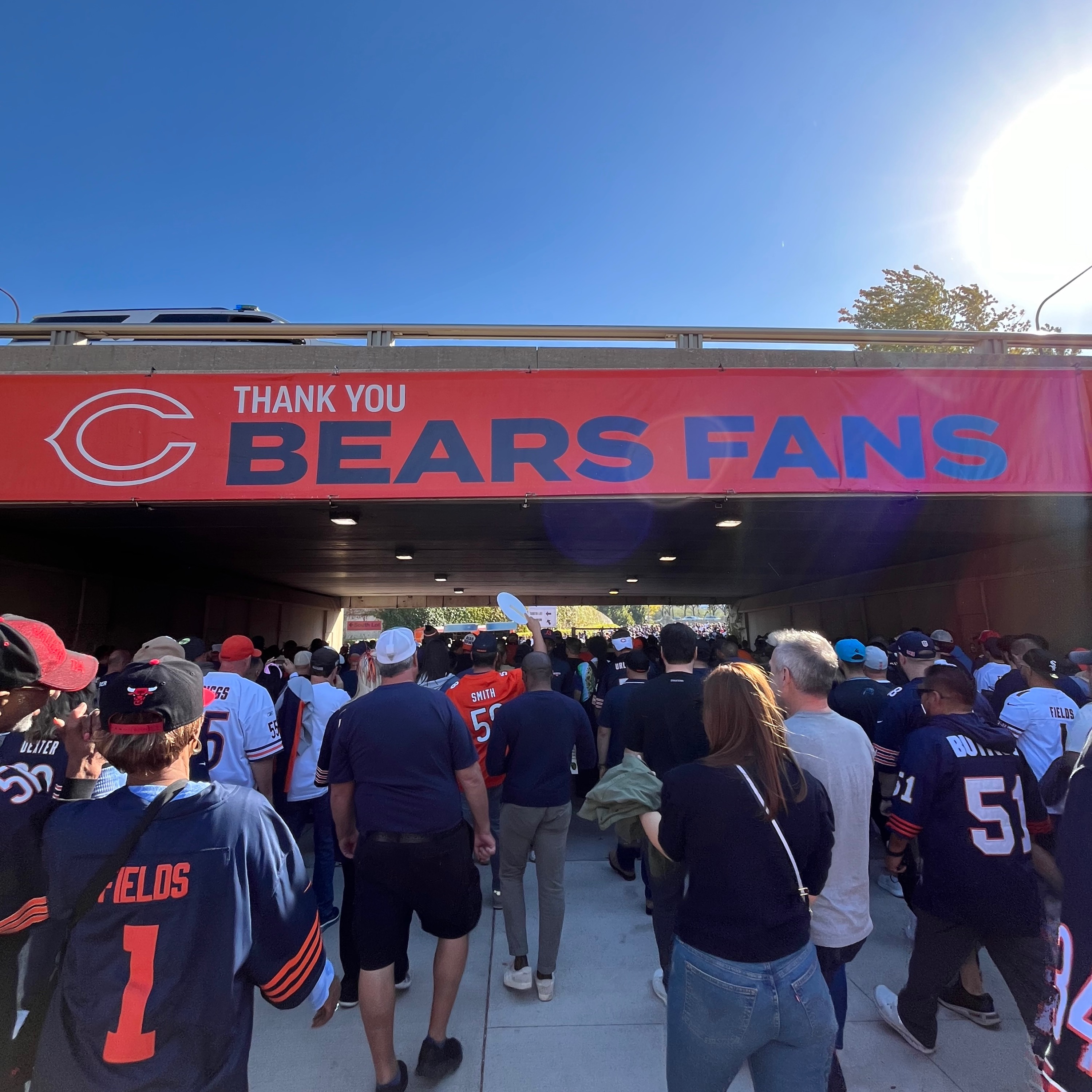 Hammond Bears Down. Plus MSG mayhem, GOAT Finals, & WC openers episode artwork