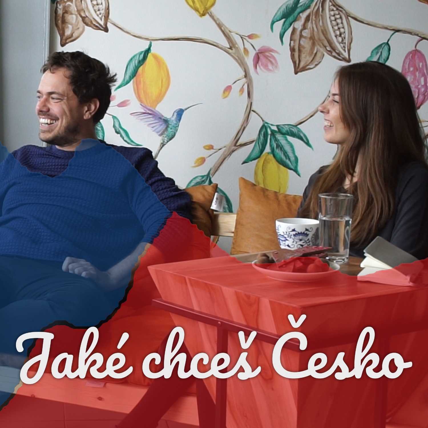 Jaké chceš Česko