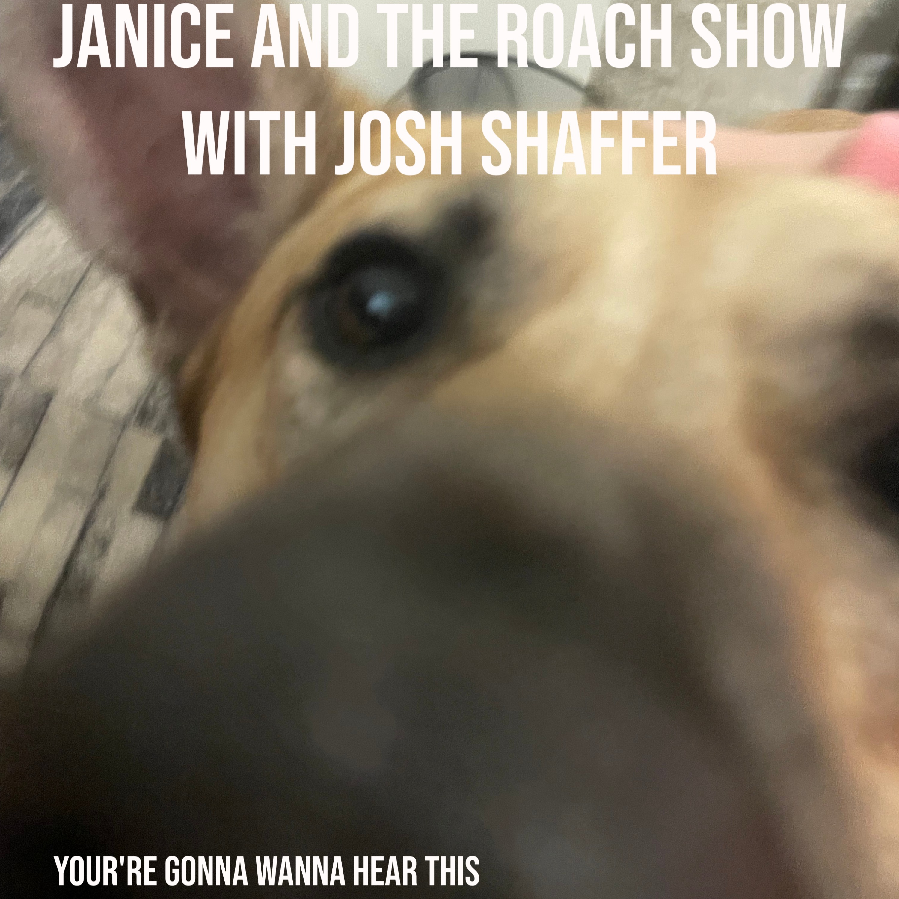 Janice and the Roach with Josh Shaffer