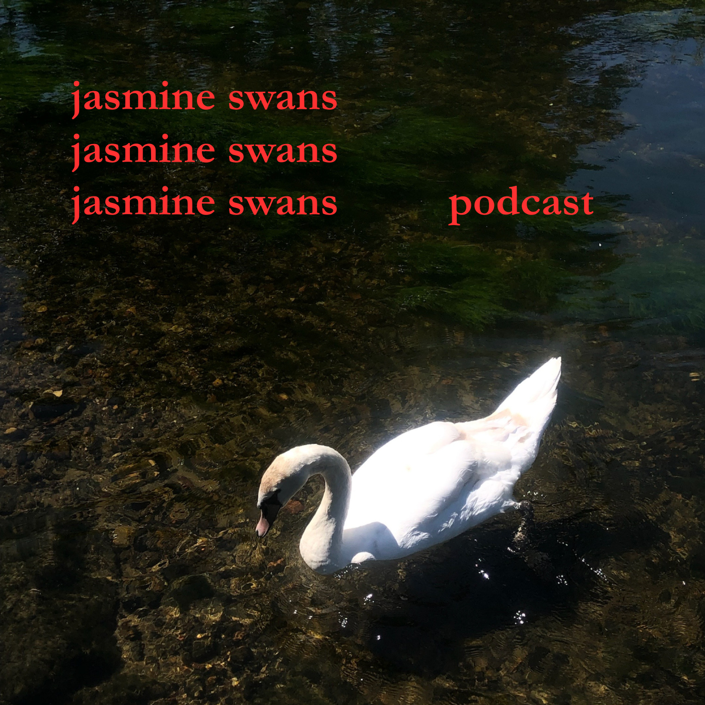 jasmine swans | episode 1 