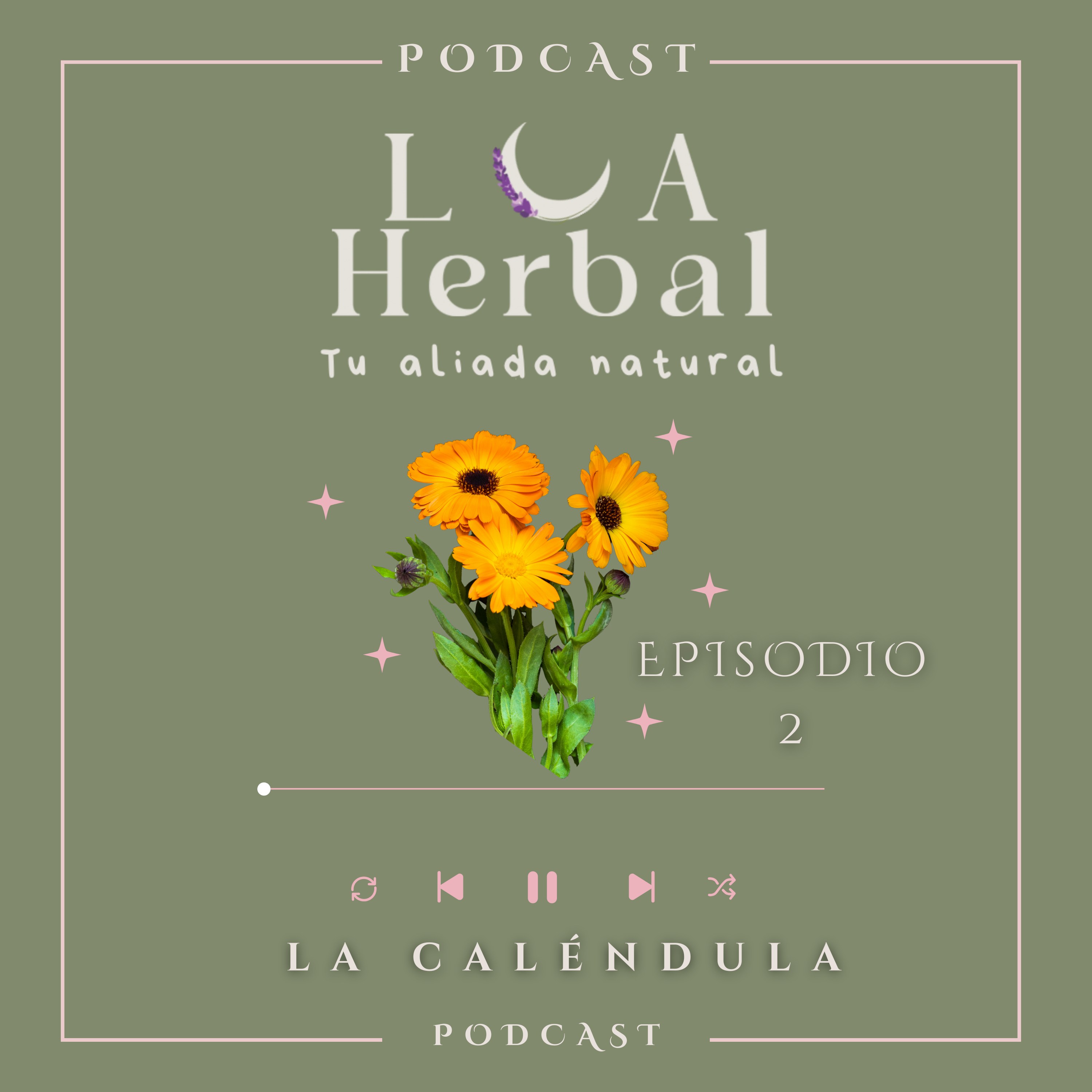 Caléndula/Mercadela